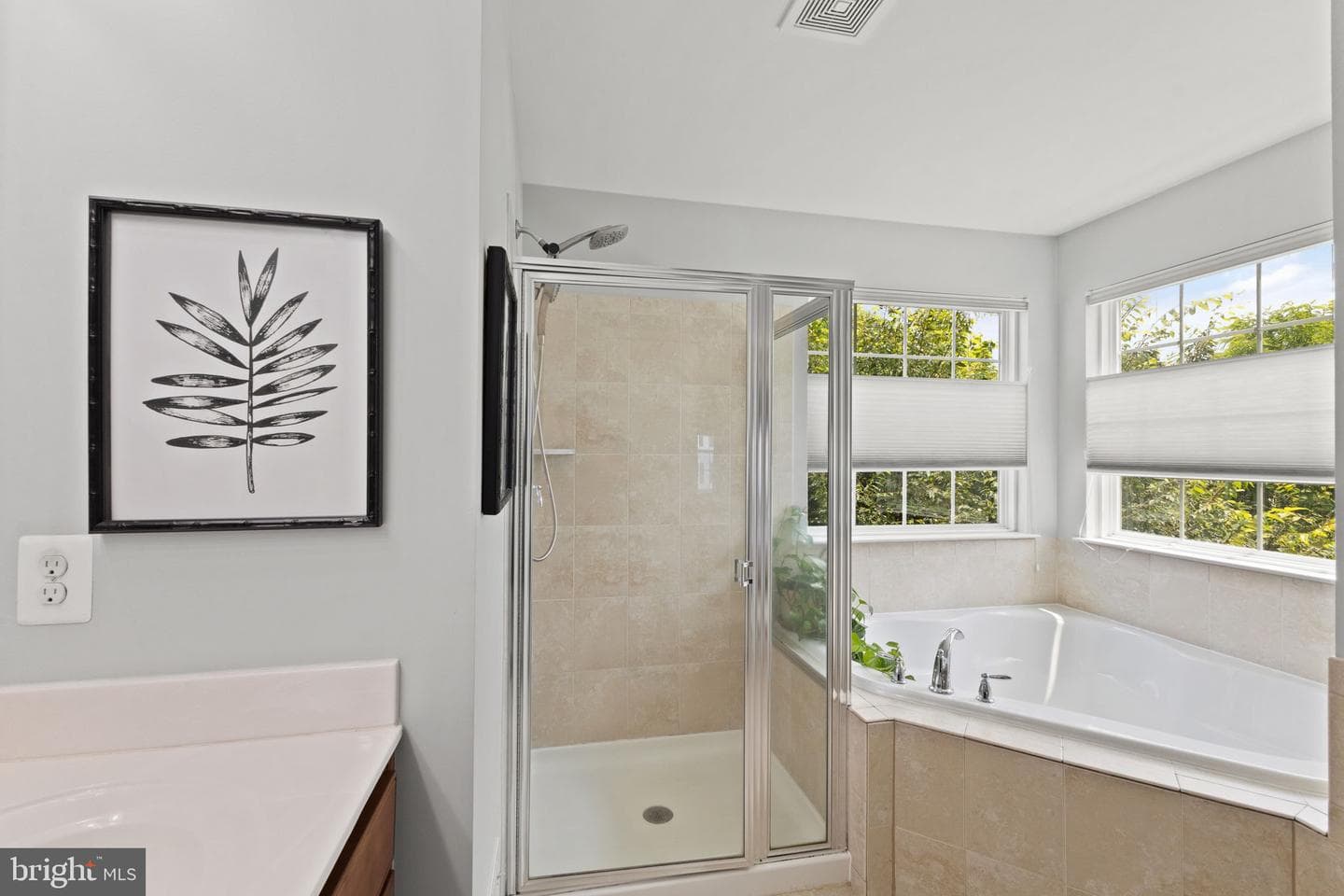 35501 Hudson Street photo 32