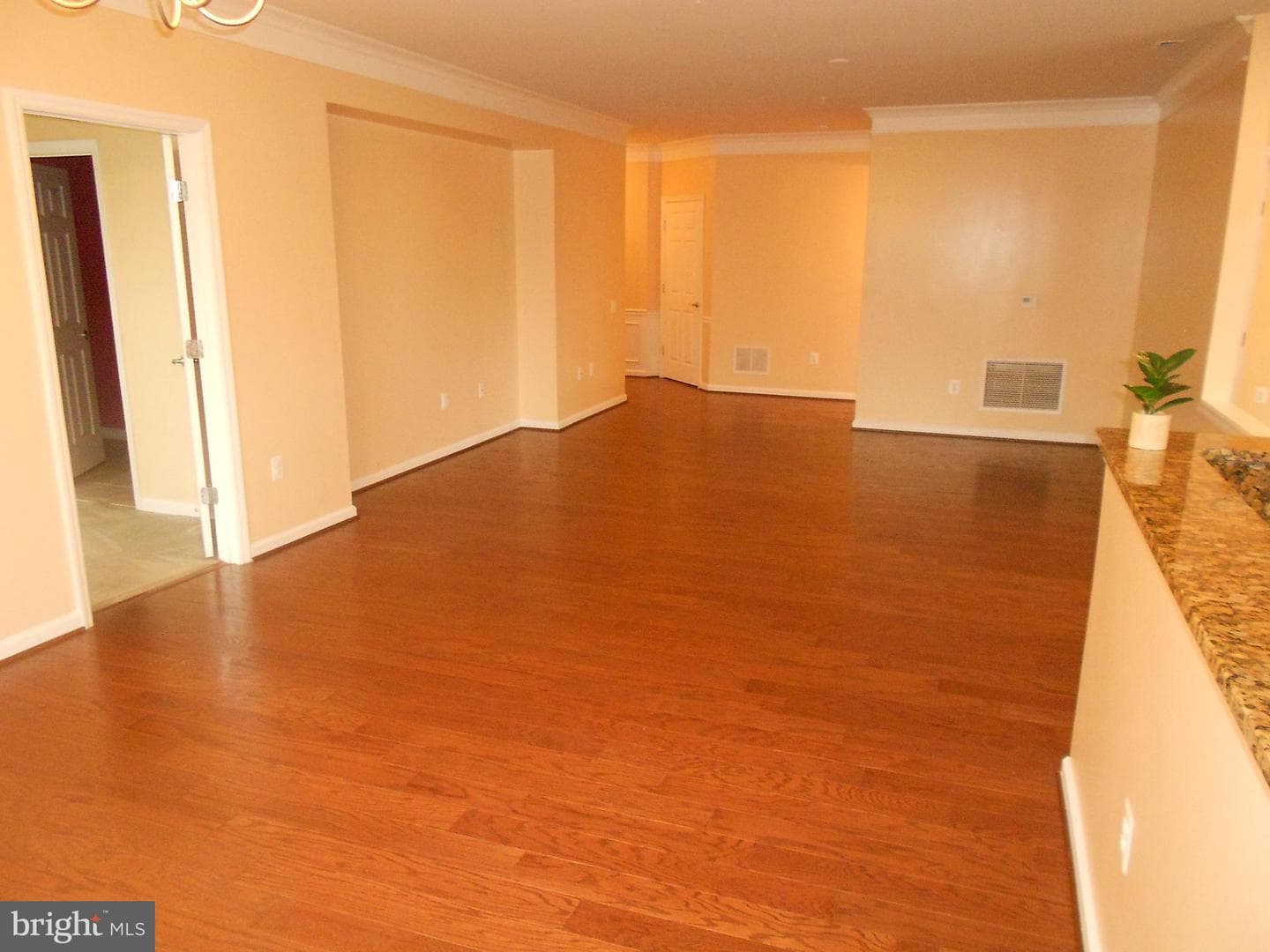20505 Little Creek Terrace #201 photo 24
