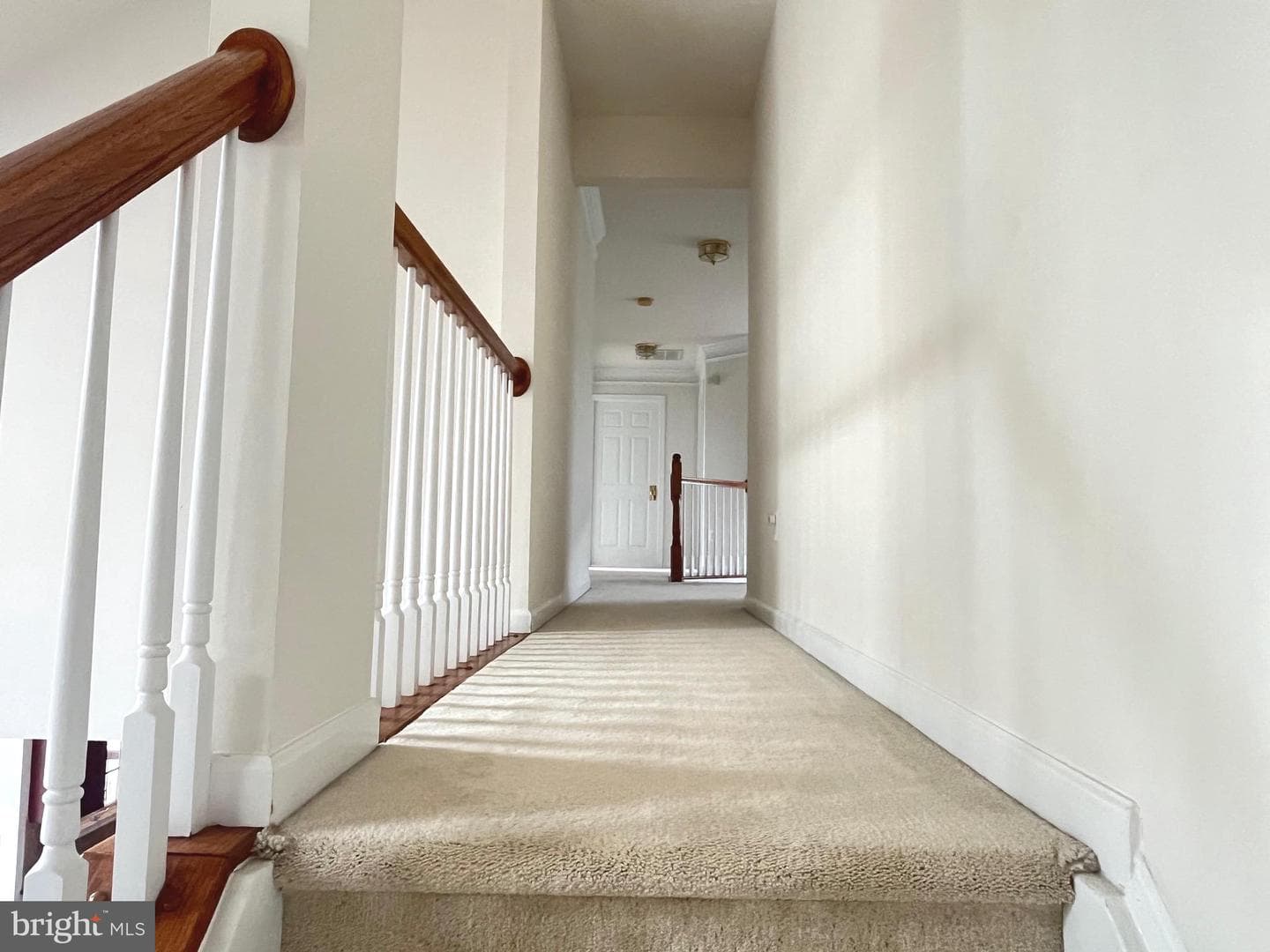 42594 Pelican Drive photo 52