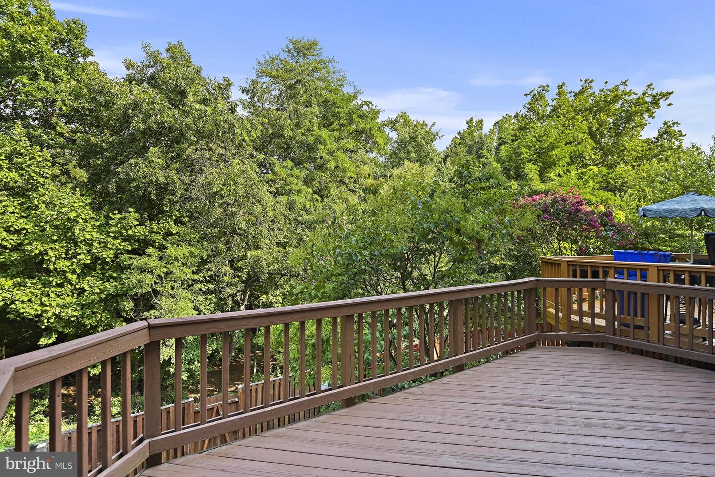 46816 Lawnes Creek Terrace photo 12
