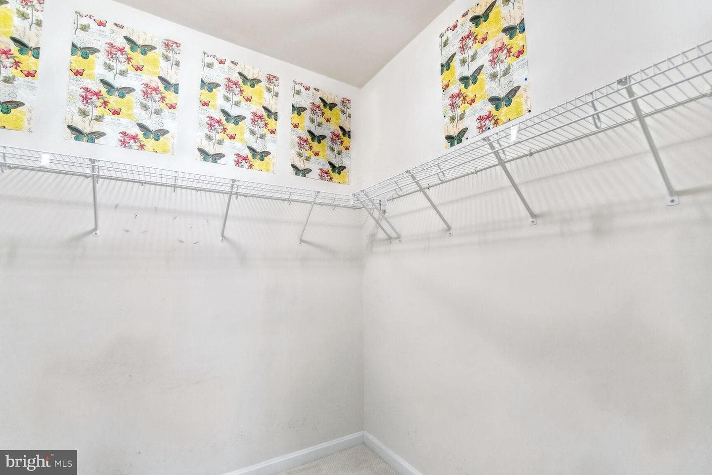 20810 Noble Terr #419 photo 11