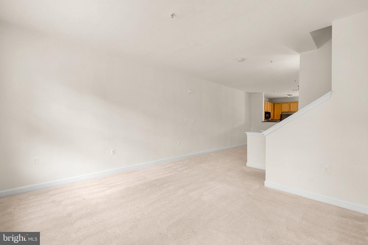 42472 Hollyhock Terrace photo 16