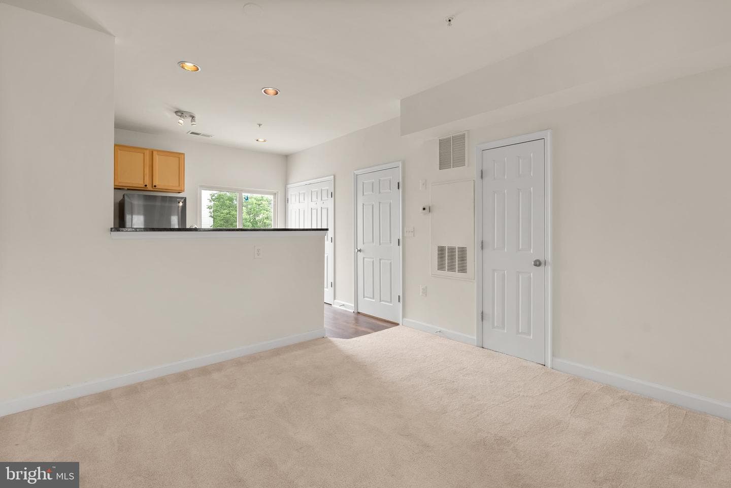 42472 Hollyhock Terrace photo 17