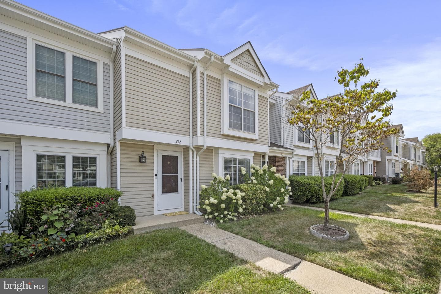 212 Saint Johns Square photo 3