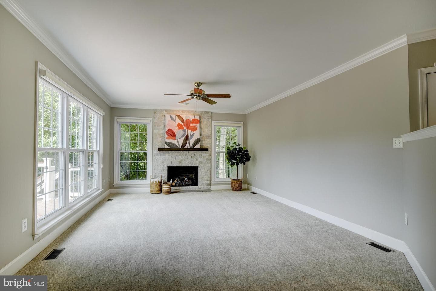 43241 Katie Leigh Court photo 23