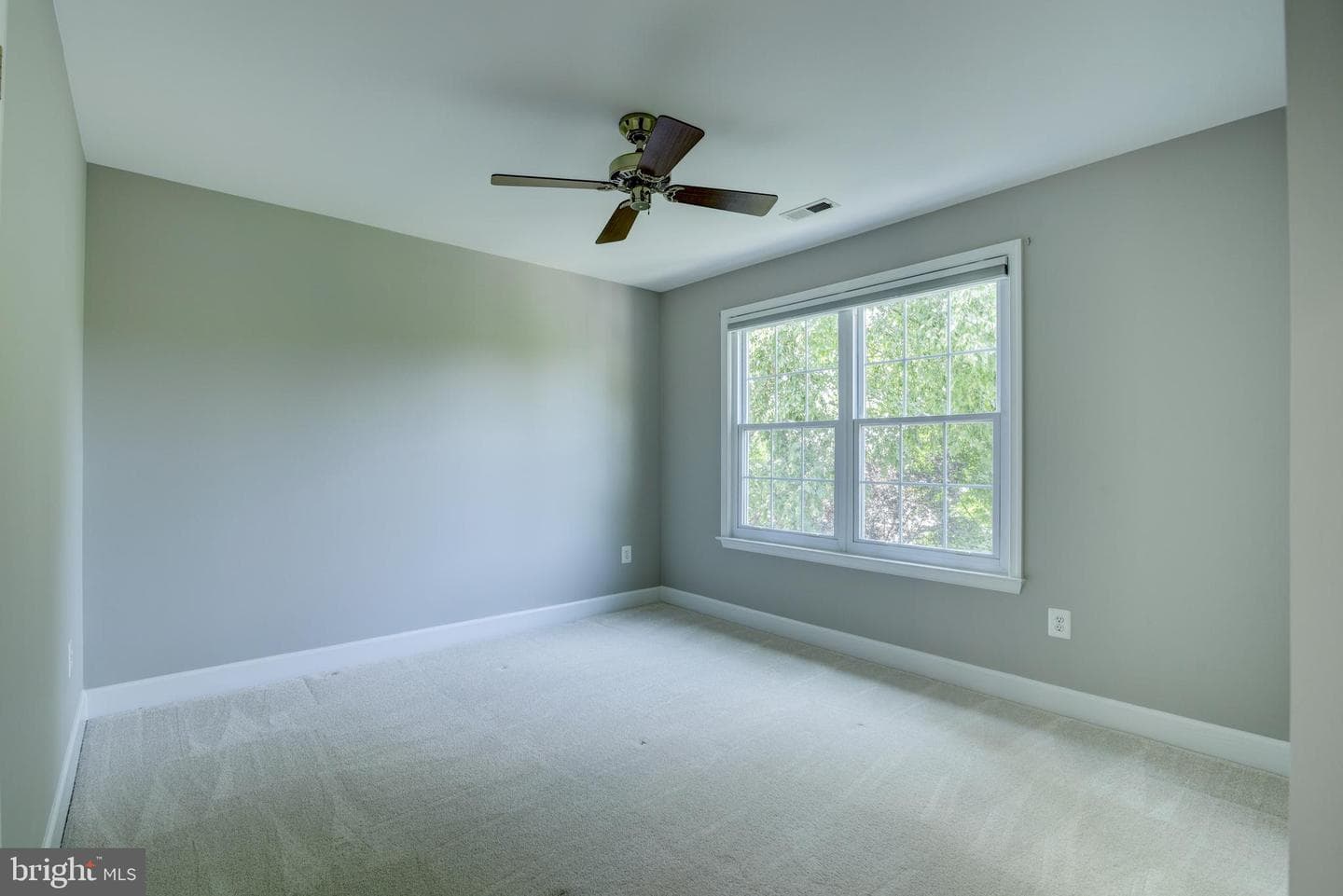 43241 Katie Leigh Court photo 37