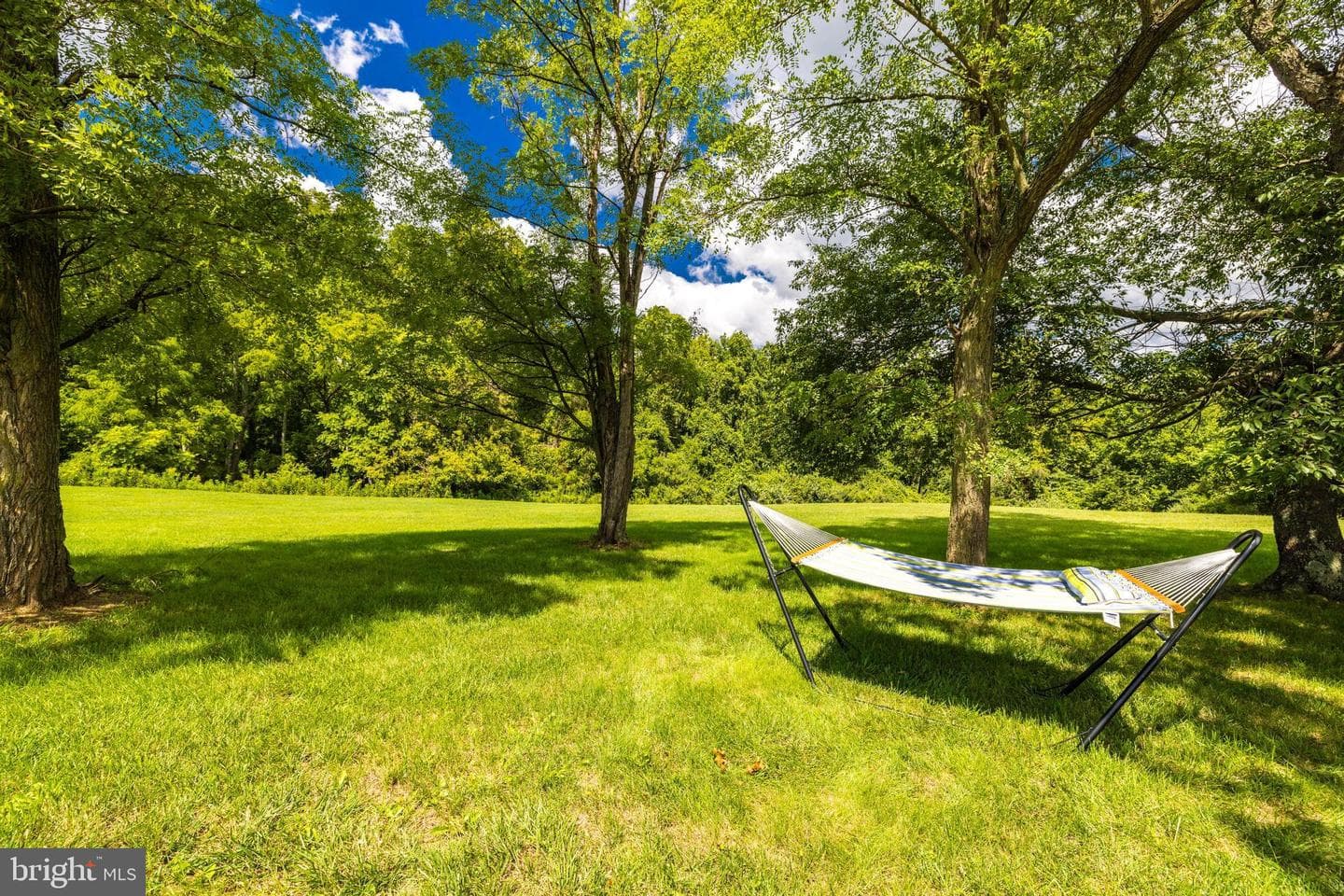 38572 Triticum Lane photo 35