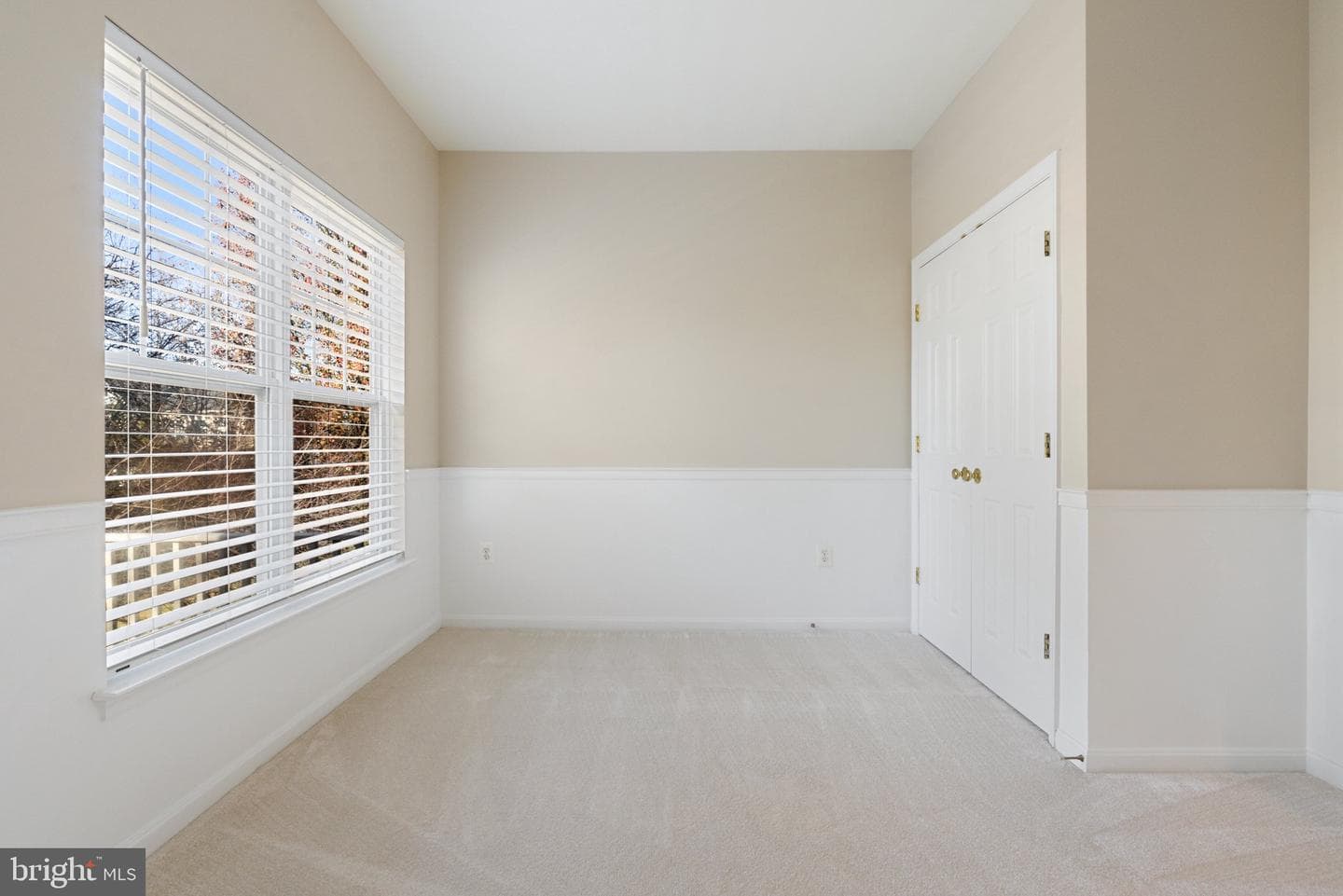 538 Gentlewood Square photo 44