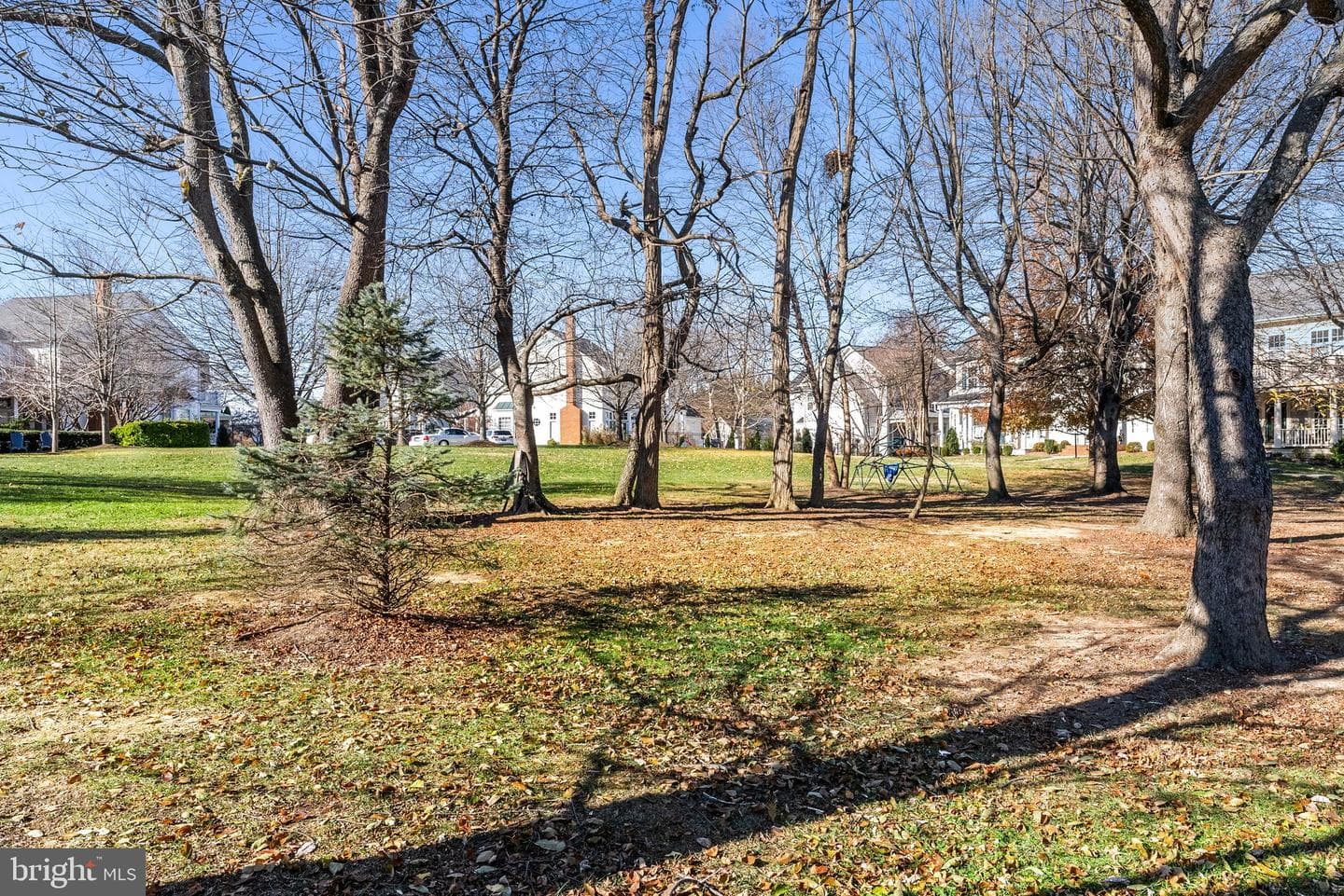 538 Gentlewood Square photo 82