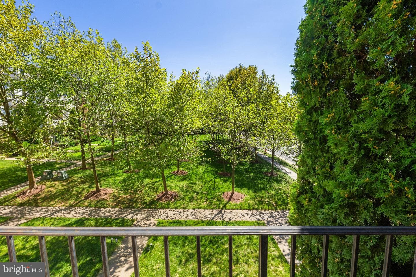 42407 Bowditch photo 26