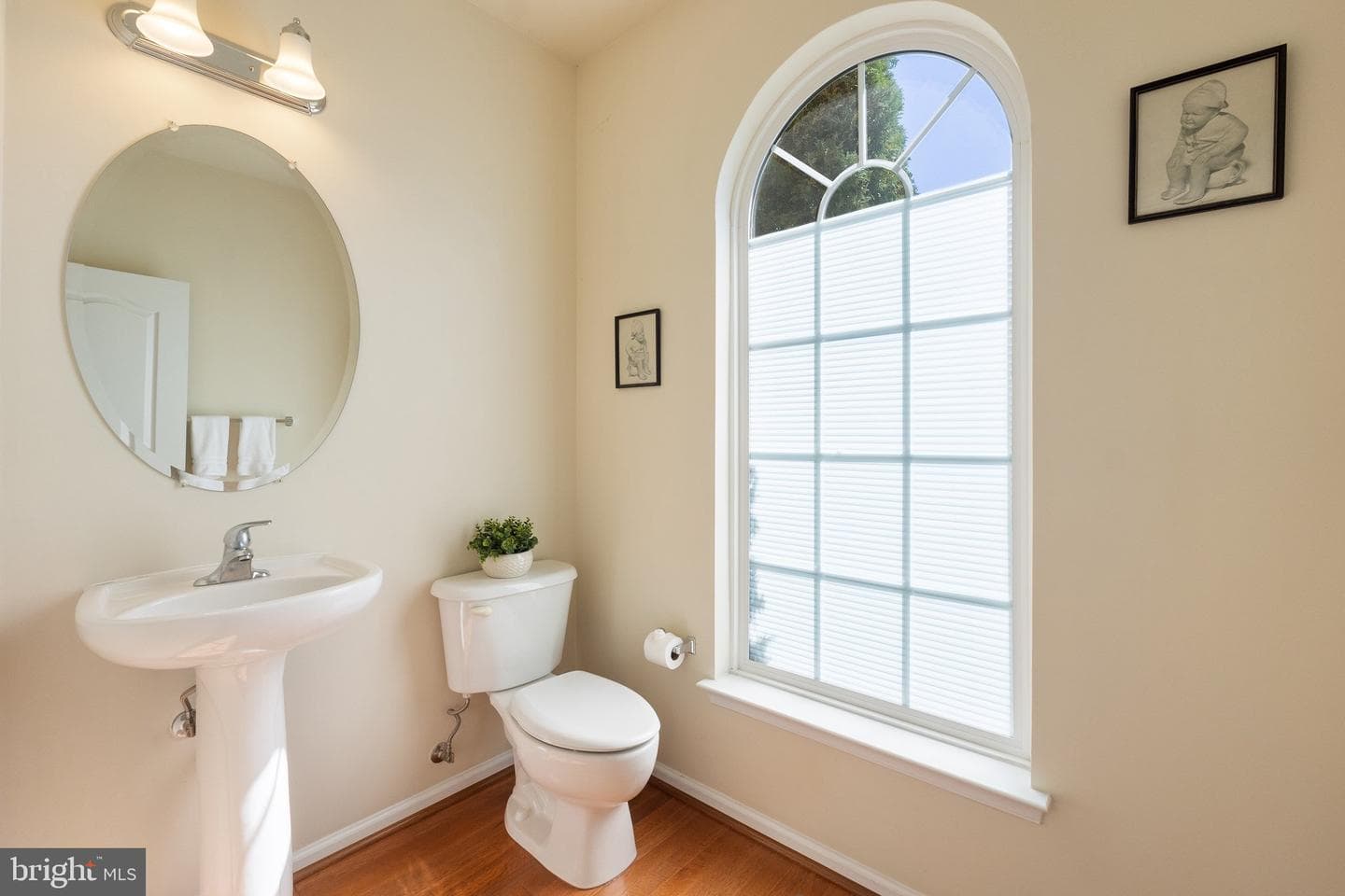 42407 Bowditch photo 28