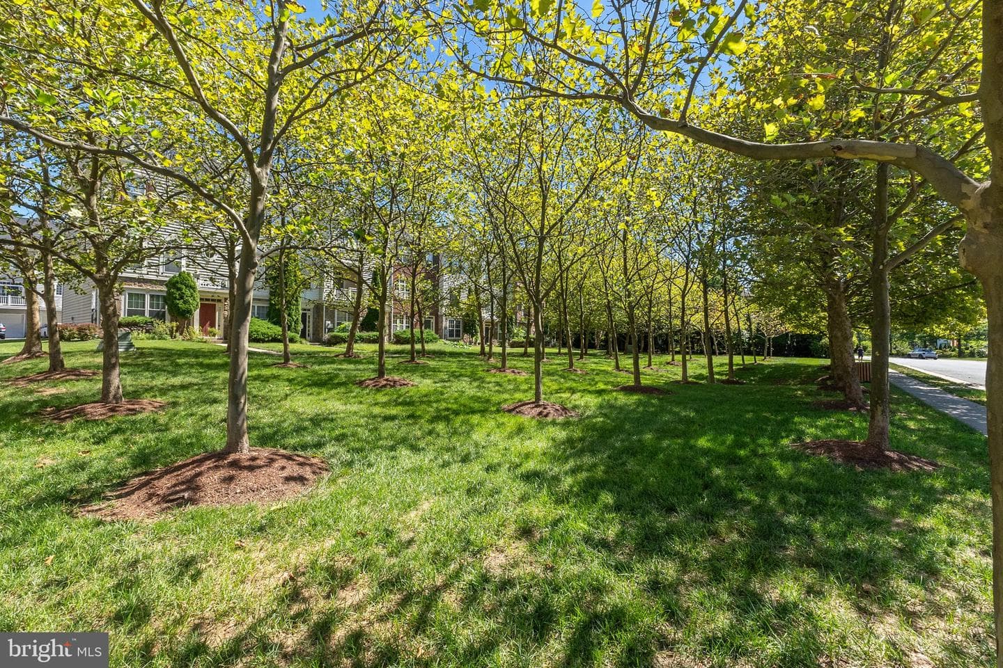 42407 Bowditch photo 8