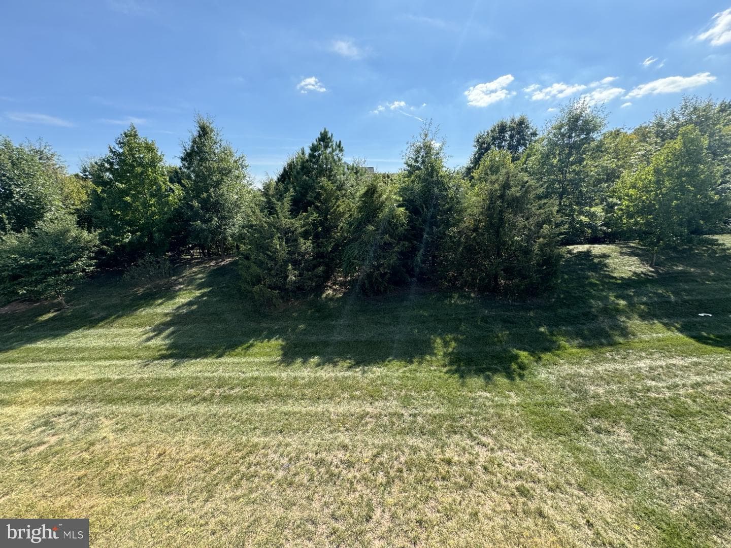 25507 Feltre Terrace photo 24