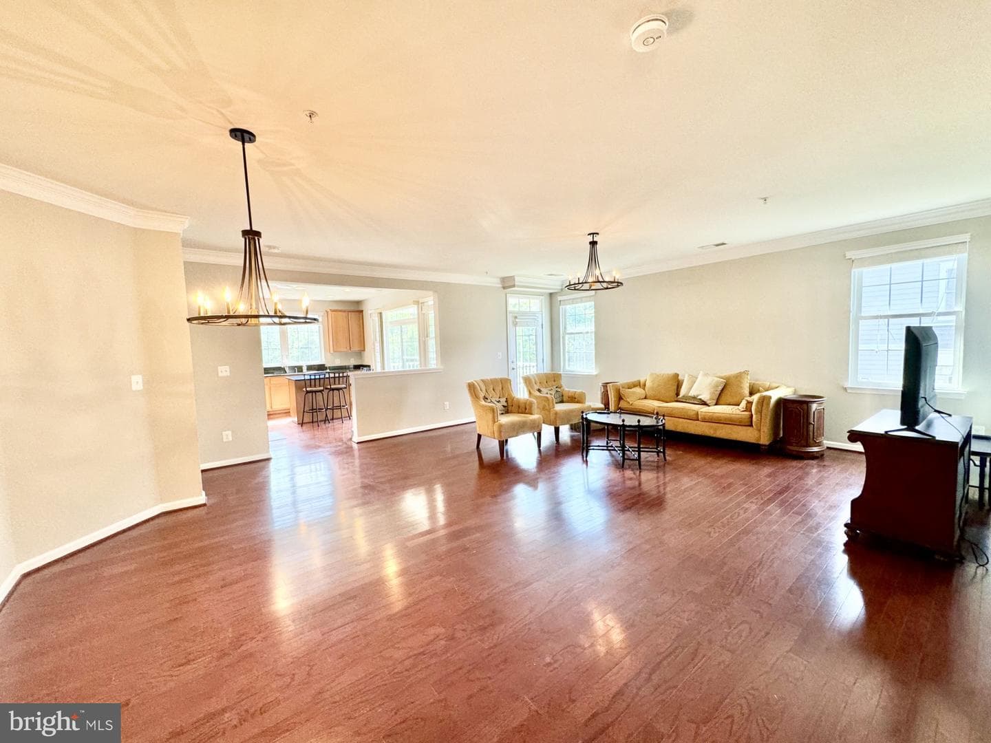 25507 Feltre Terrace photo 5