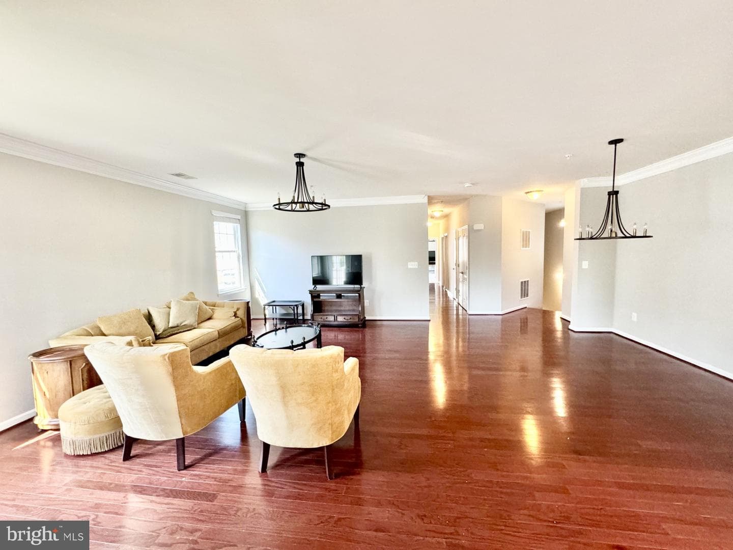 25507 Feltre Terrace photo 6