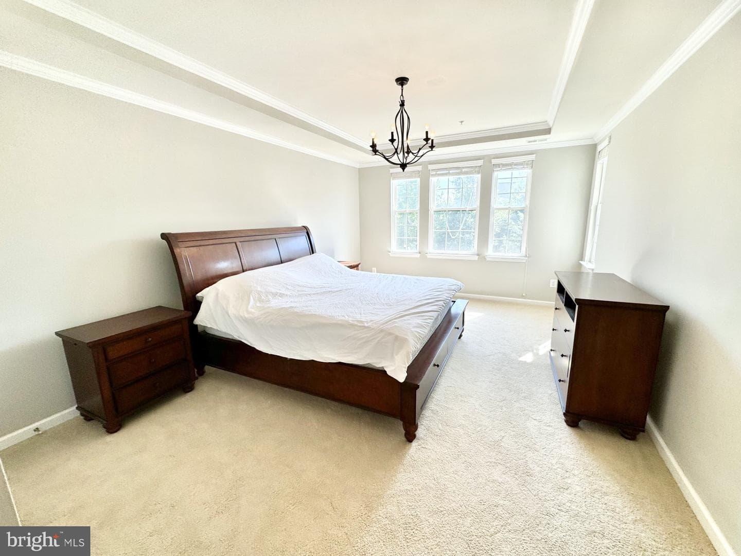 25507 Feltre Terrace photo 9