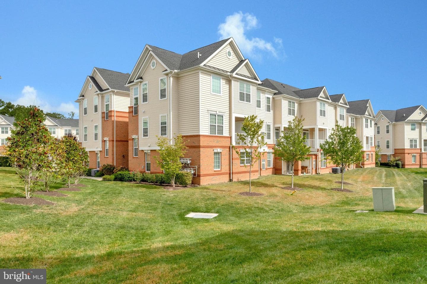 23257 Southdown Manor Terrace #117 photo 4