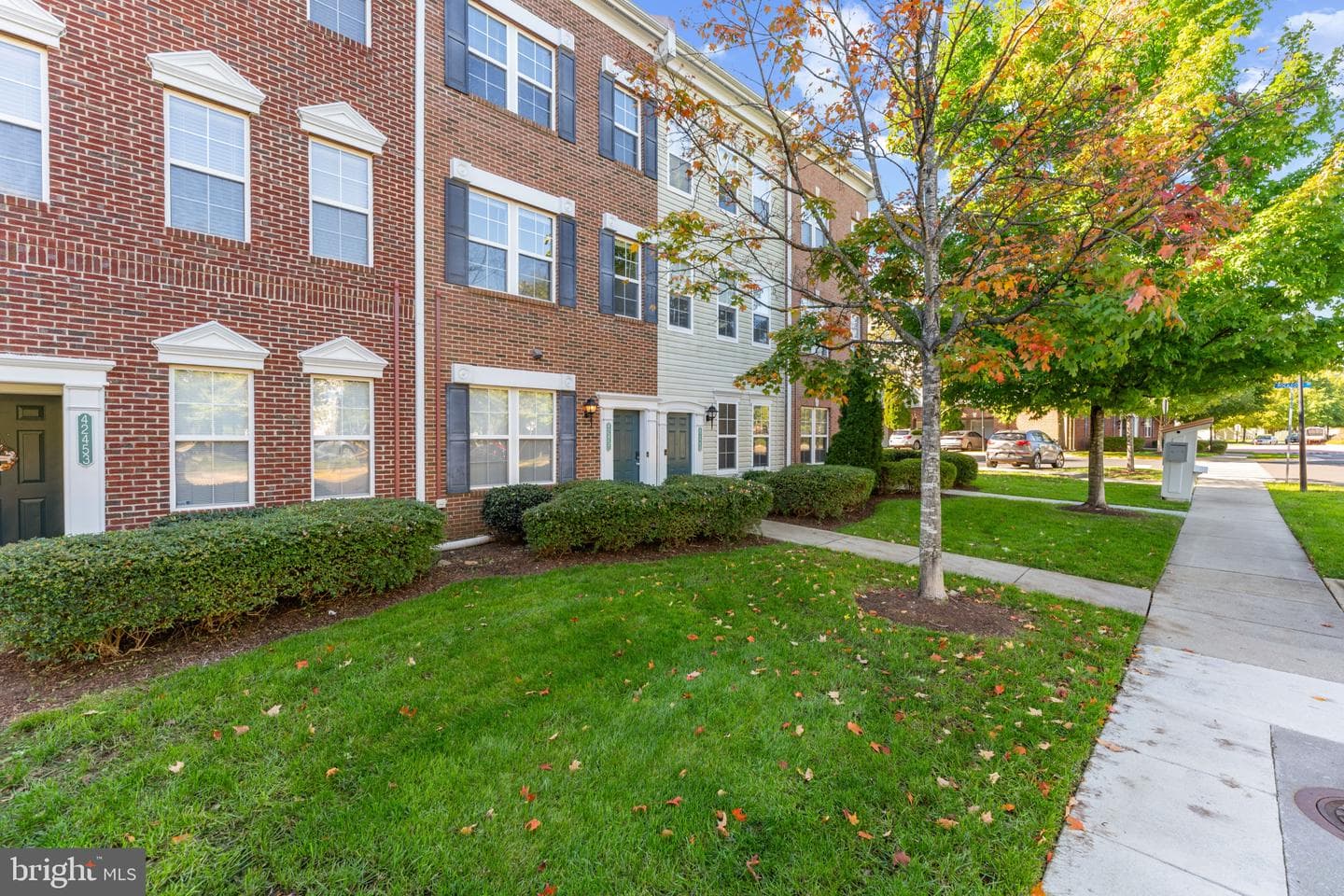 42451 Hollyhock Terrace photo 13