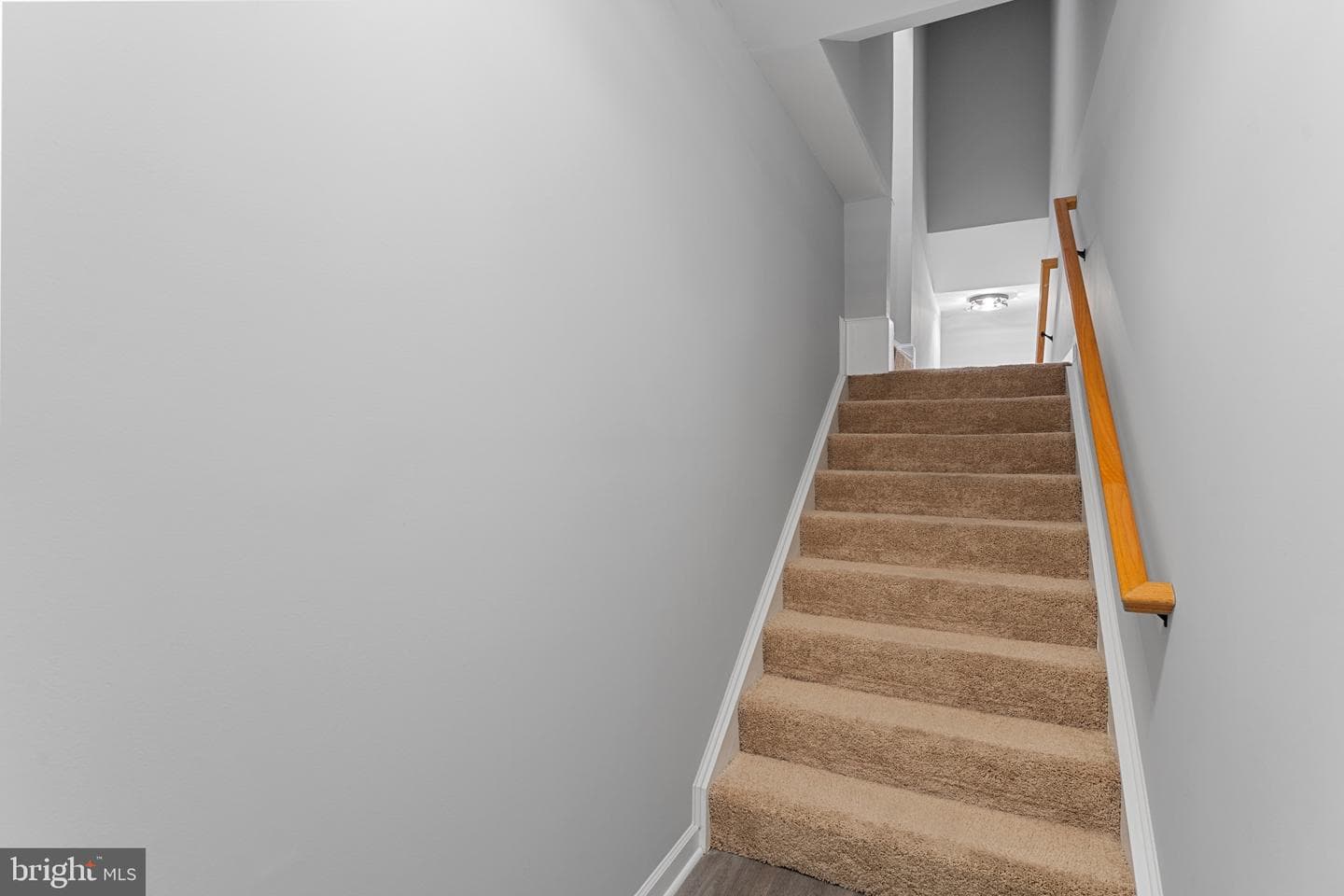 42451 Hollyhock Terrace photo 21