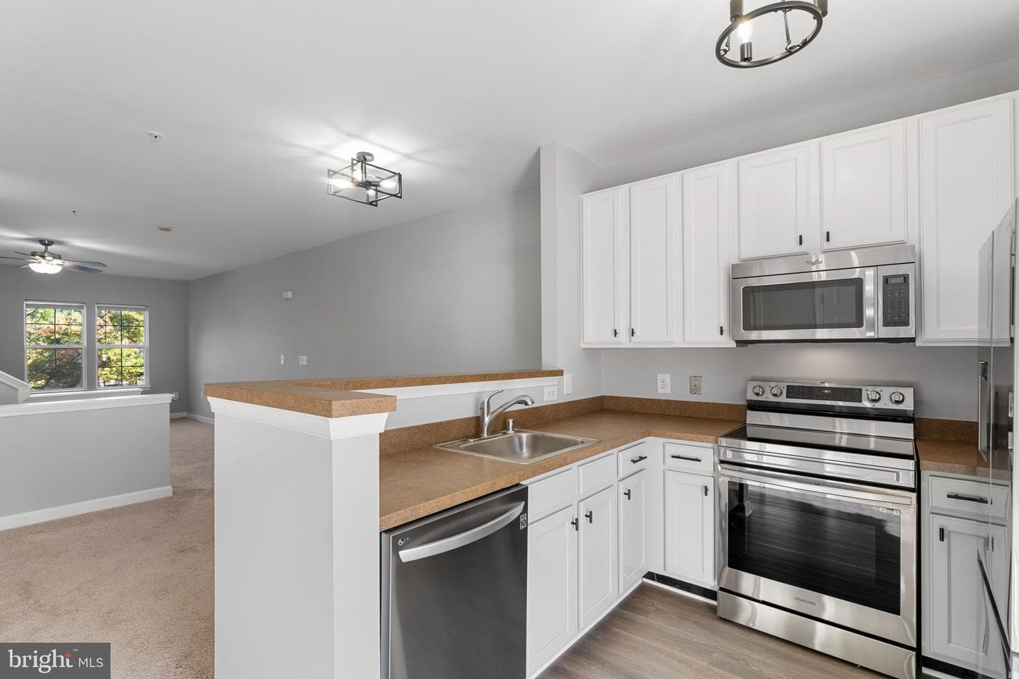 42451 Hollyhock Terrace photo 4