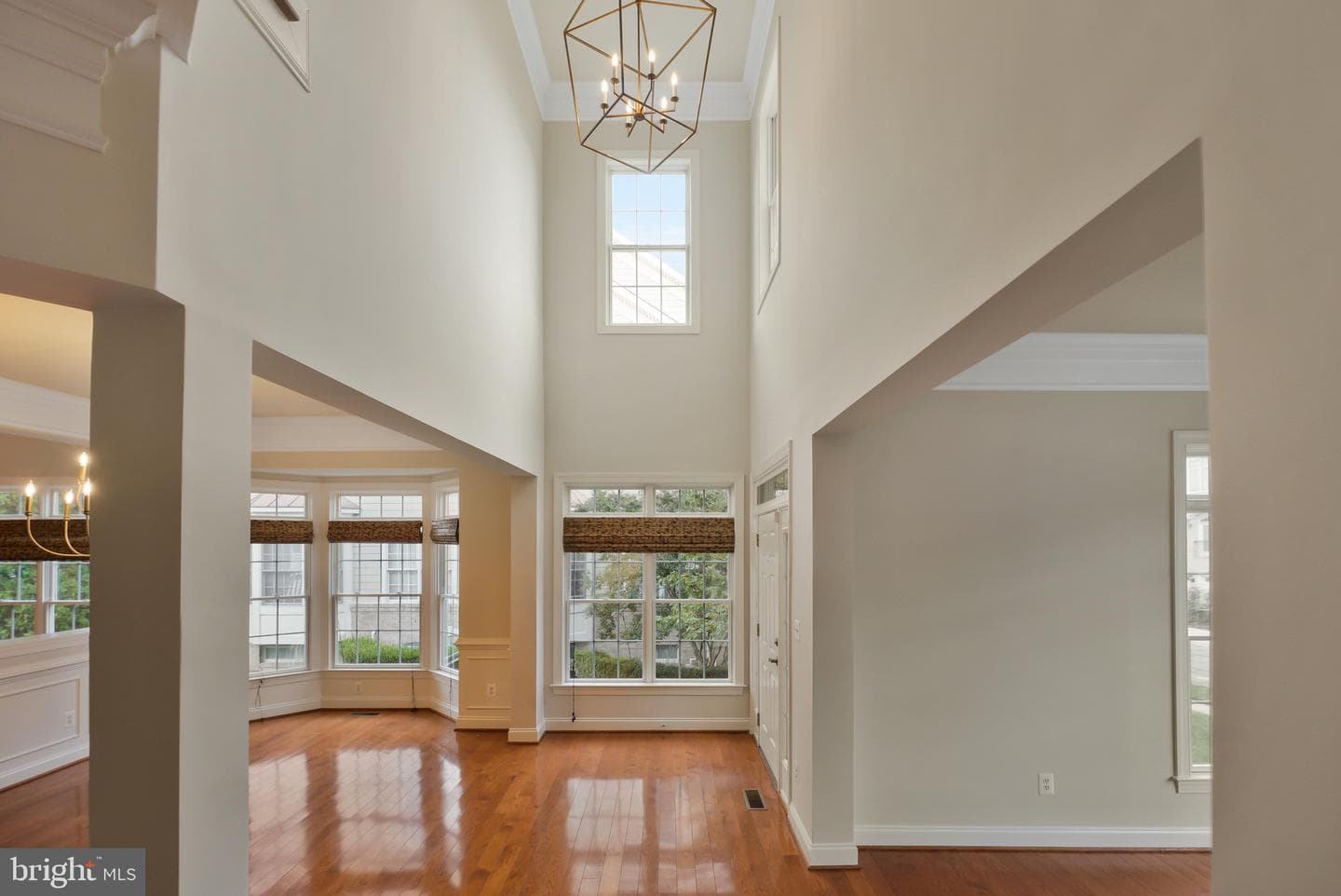 18983 Coreopsis Terrace photo 11