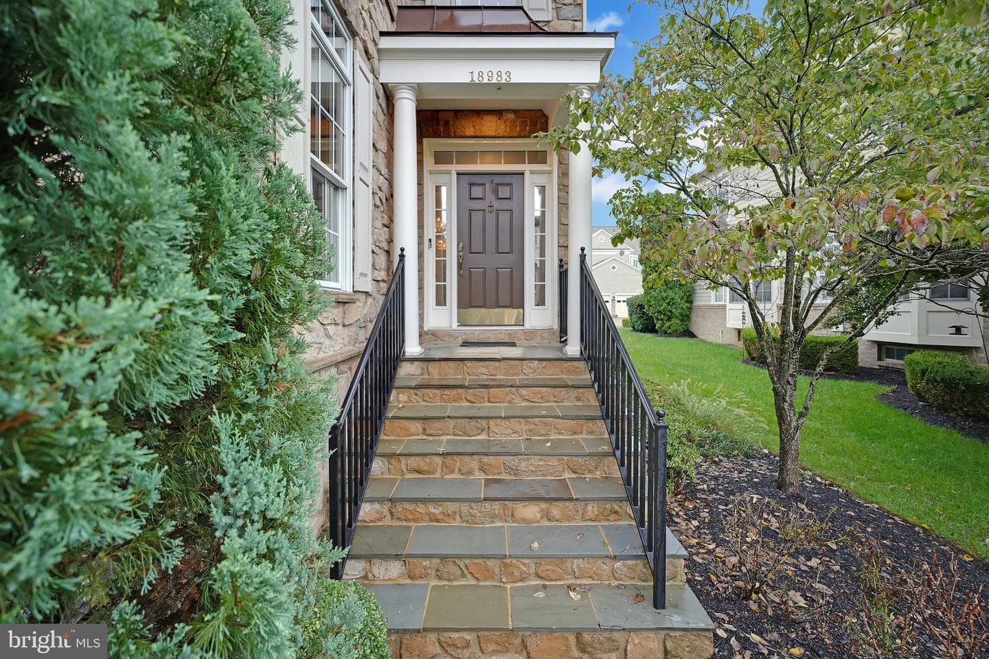 18983 Coreopsis Terrace photo 6