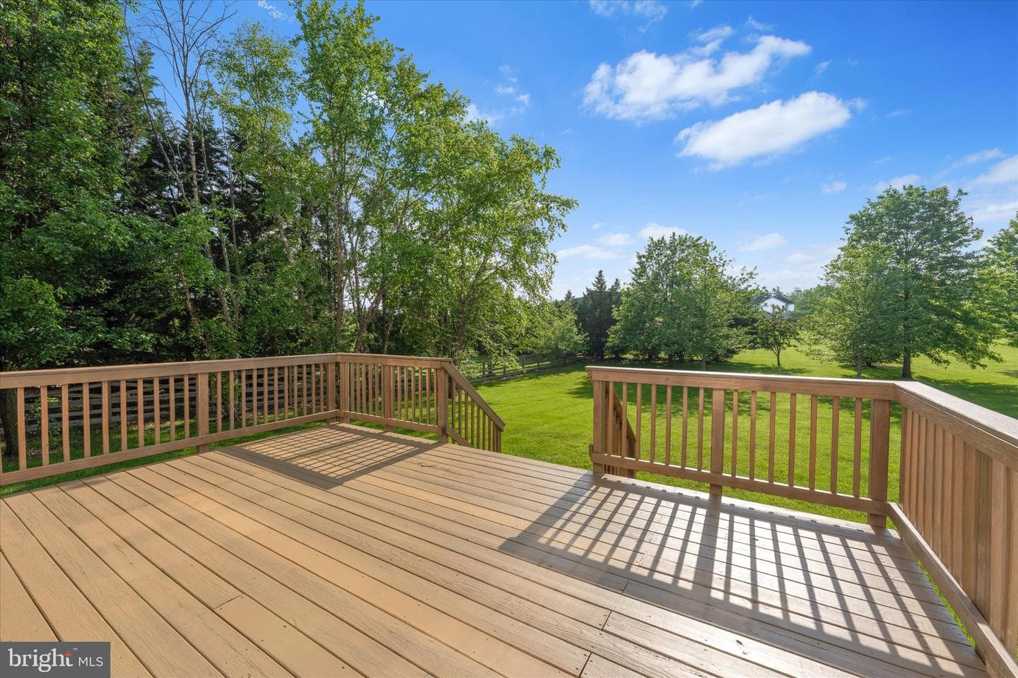 22405 Belle Terra Drive photo 16