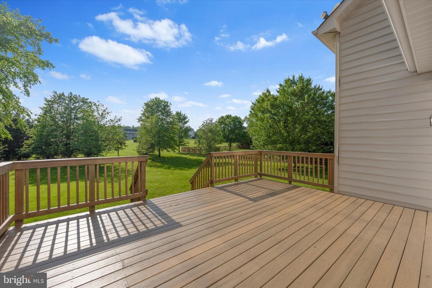 22405 Belle Terra Drive photo 17