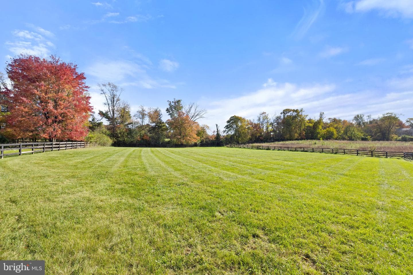 36643 Leith Lane photo 66