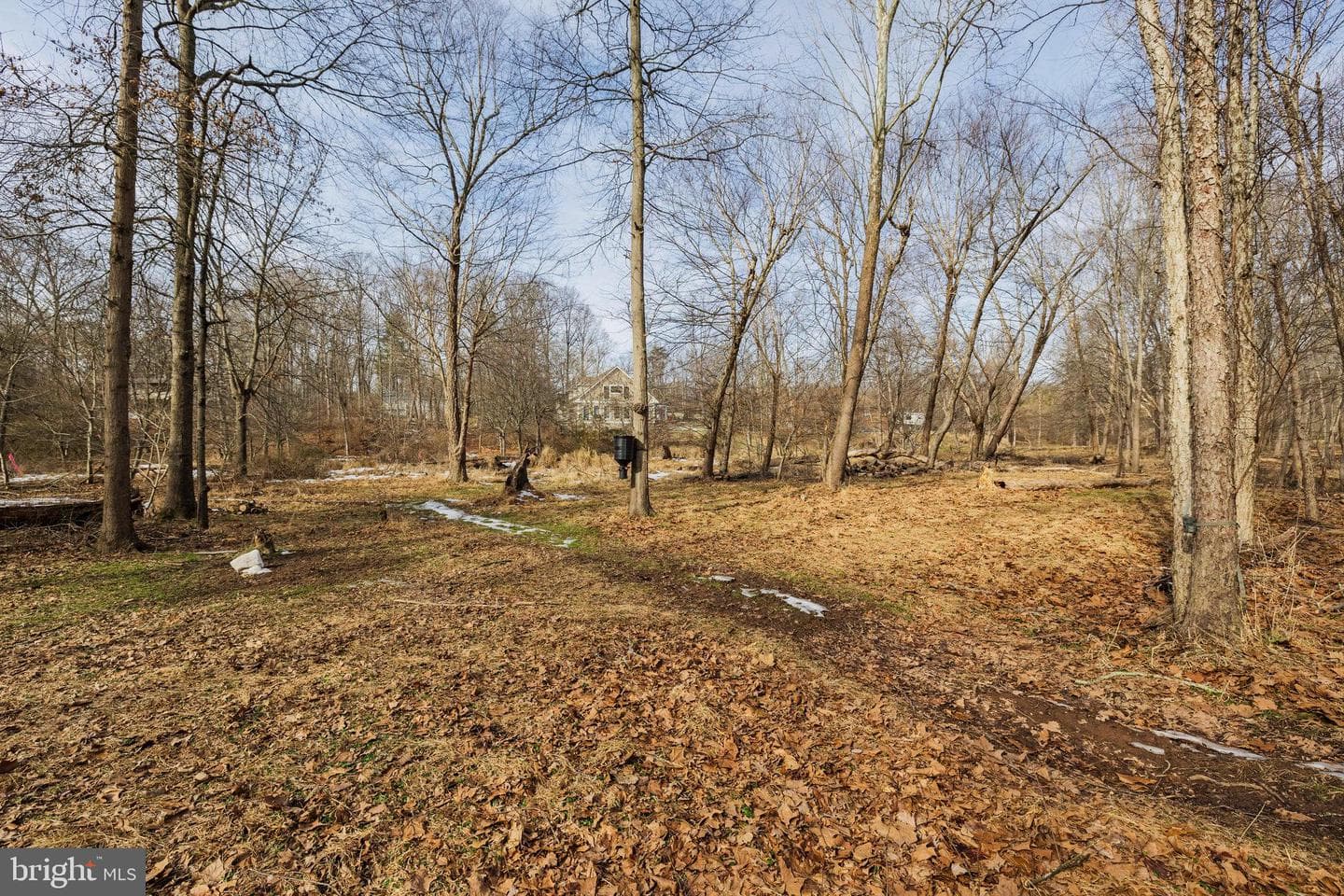 214 Lake Drive photo 53