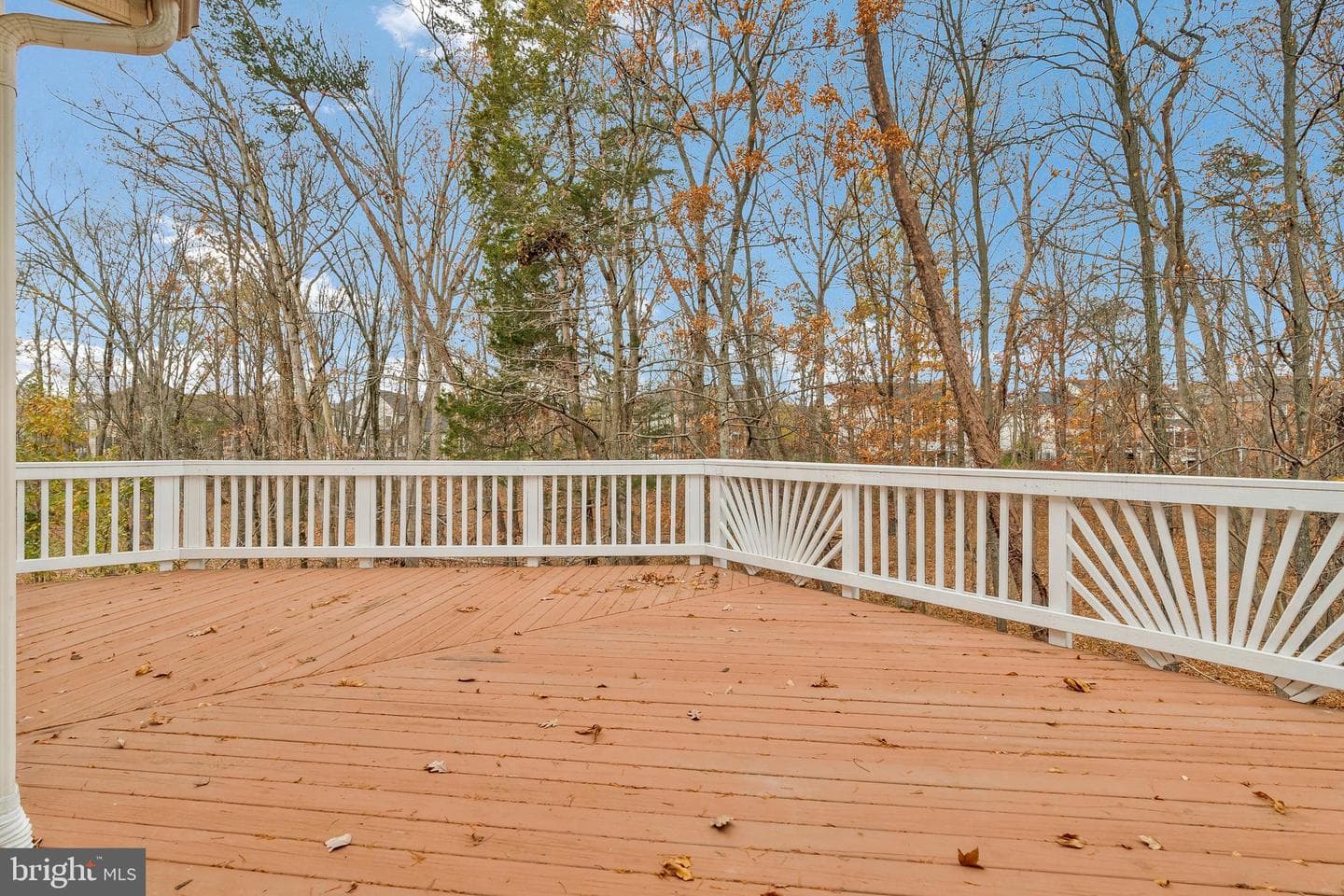 20093 Northville Hills Terrace photo 42
