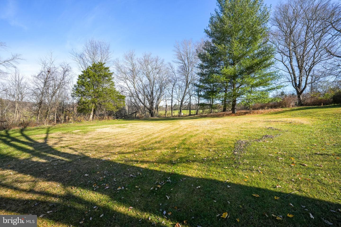 12949 Downey Mill Road photo 39