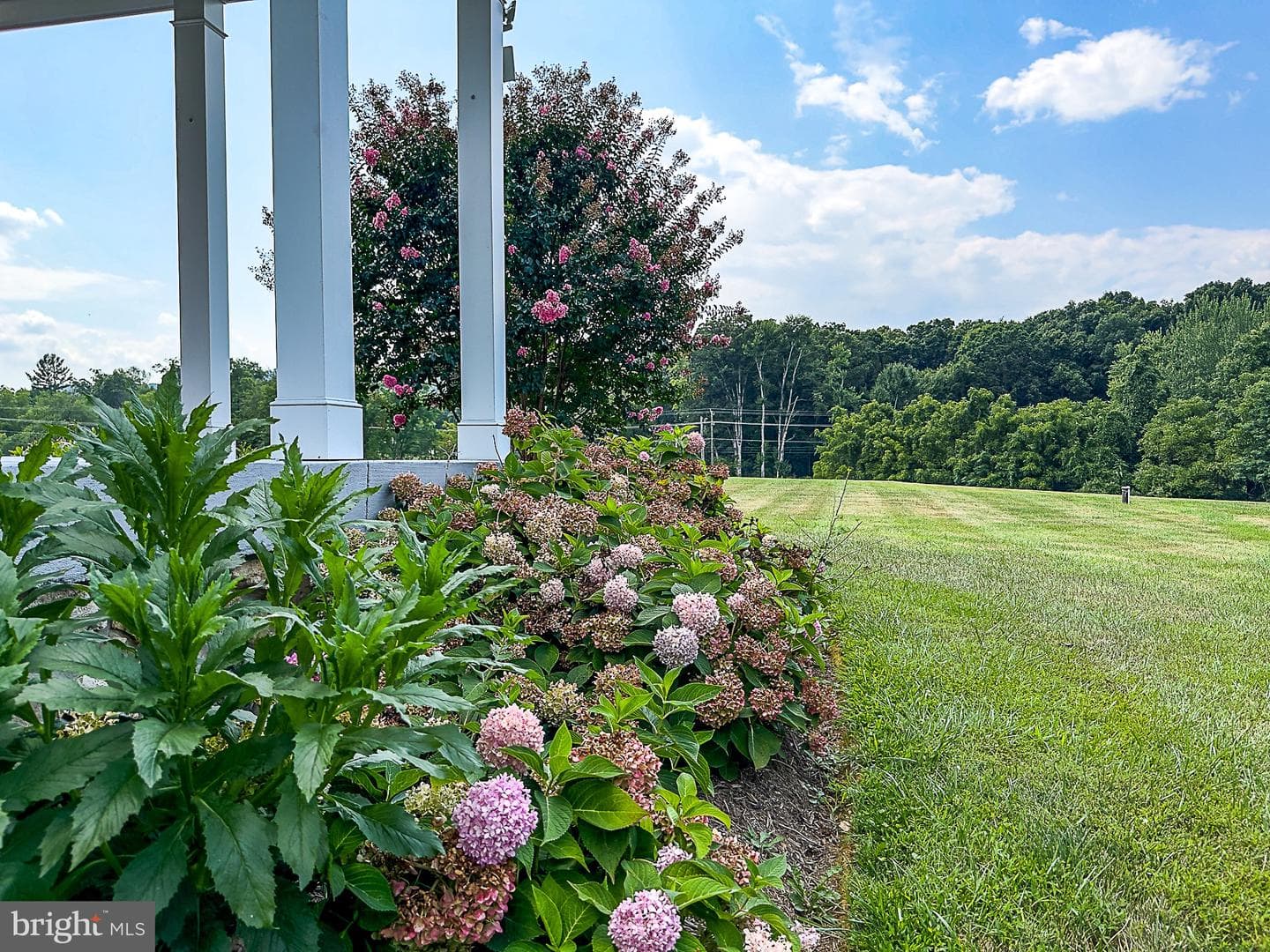 15514 Hillsboro Road photo 2