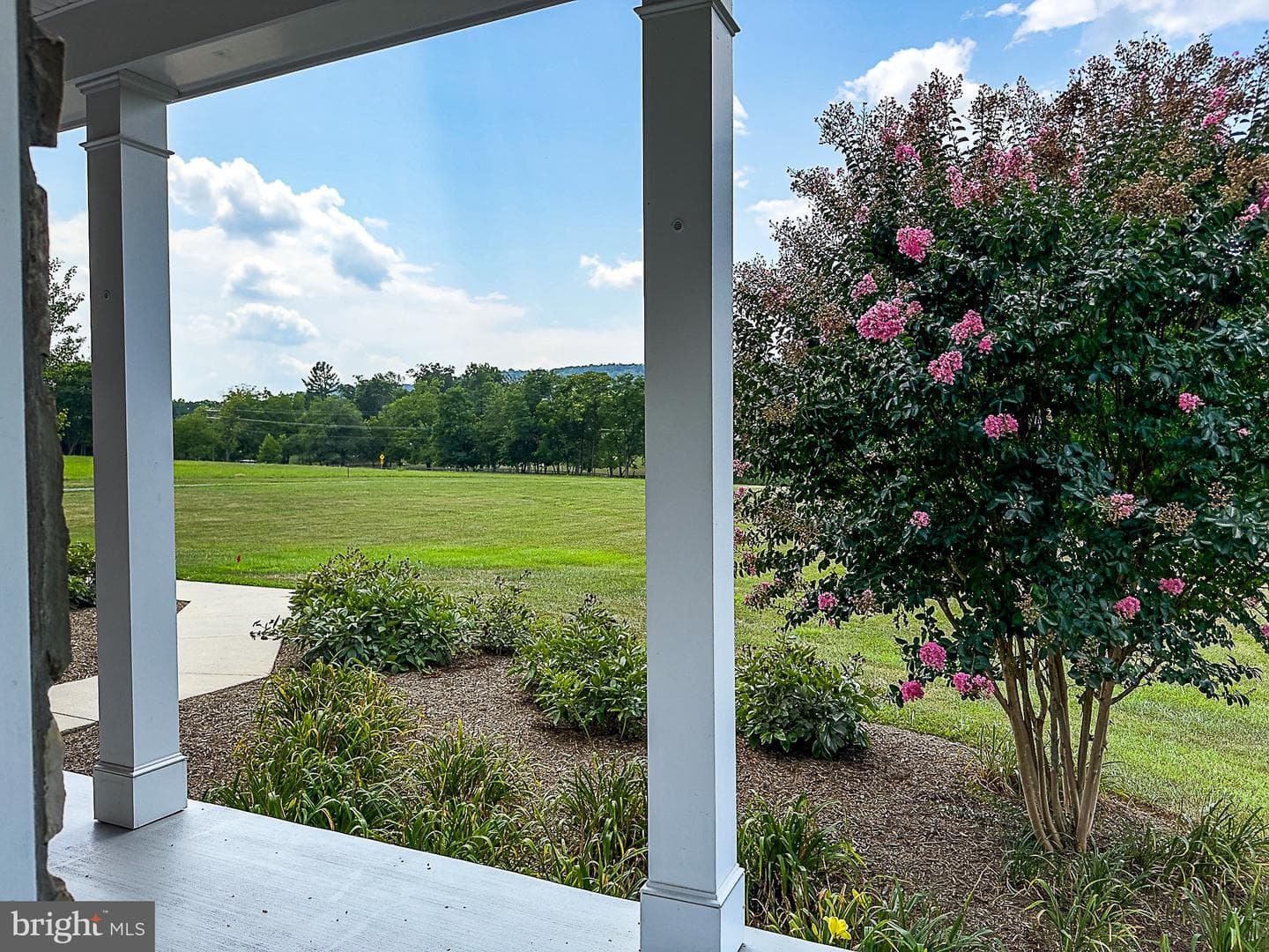 15514 Hillsboro Road photo 59