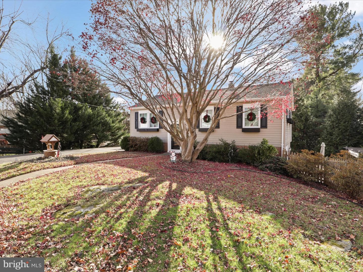 903 Blue Ridge Avenue photo 2