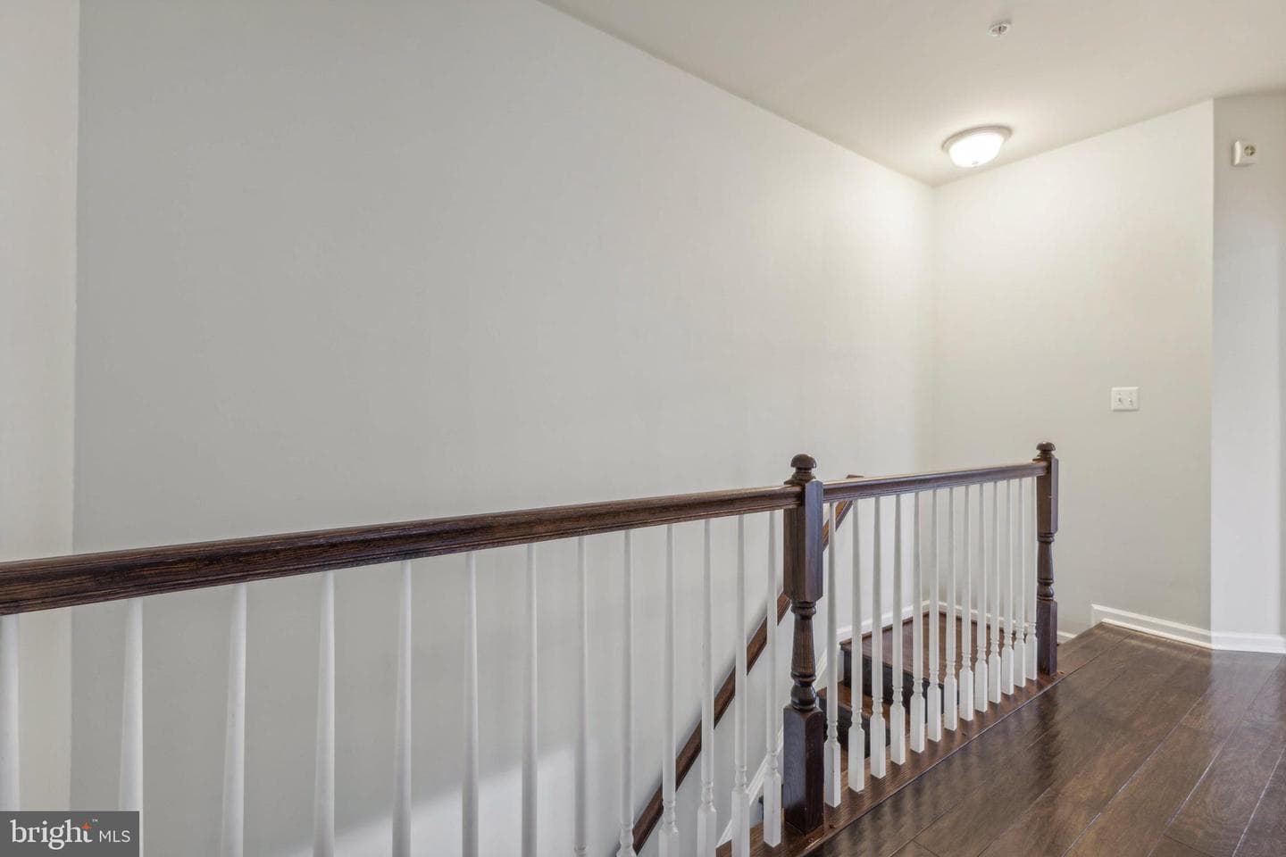 23567 Belvoir Woods Terrace photo 12