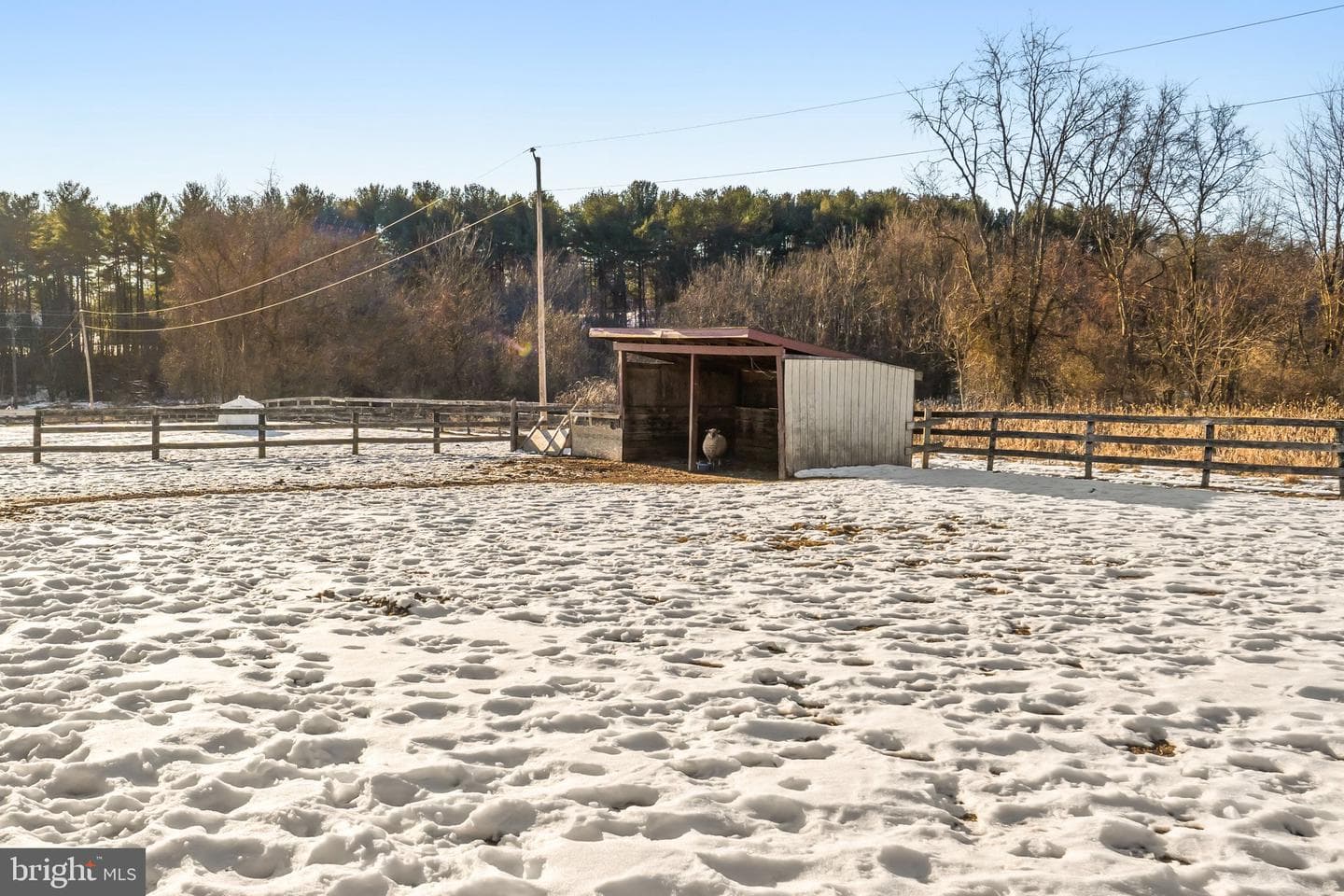 40034 Featherbed Lane photo 51
