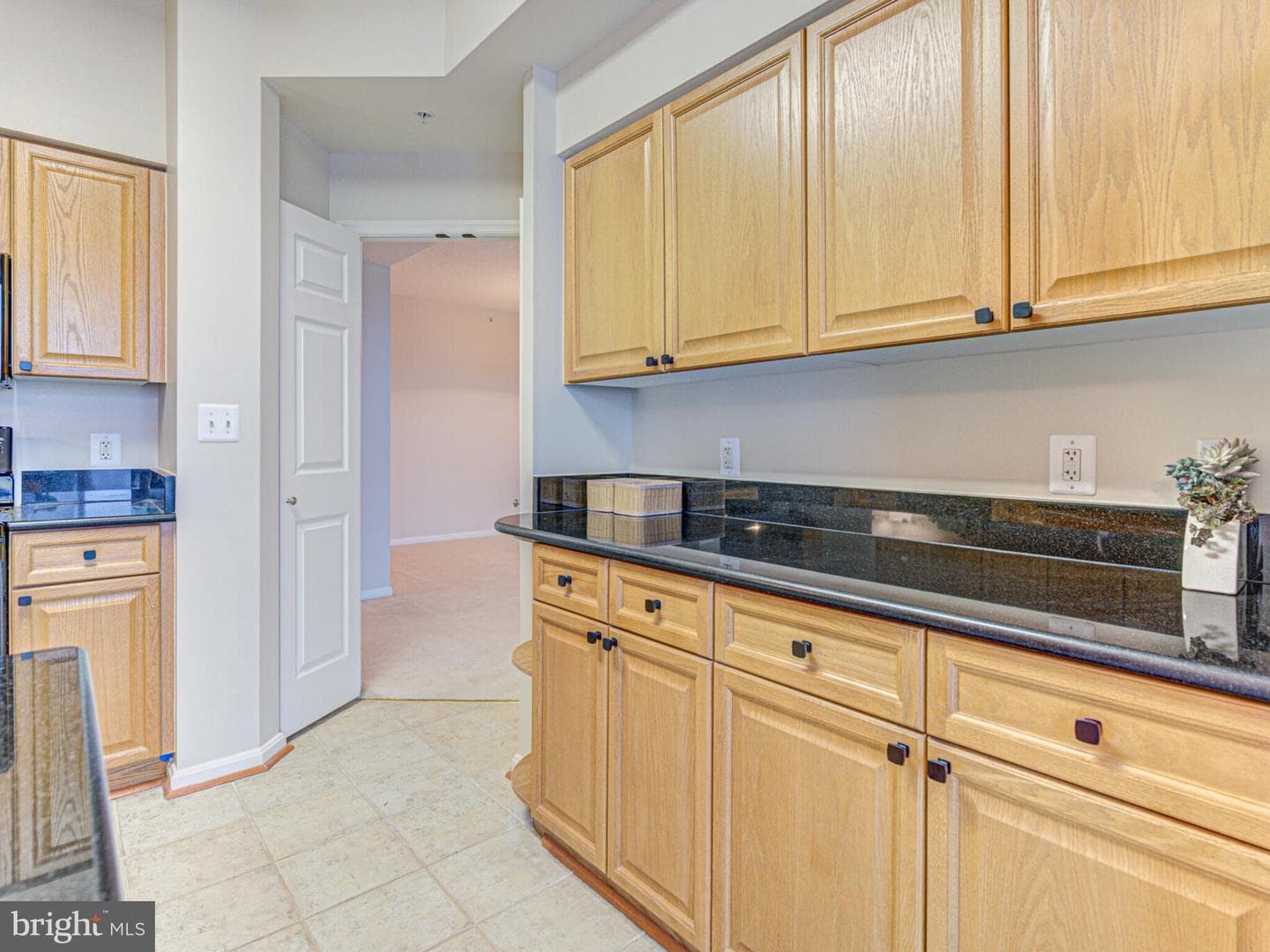 19355 Cypress Ridge Terrace #1107 photo 14
