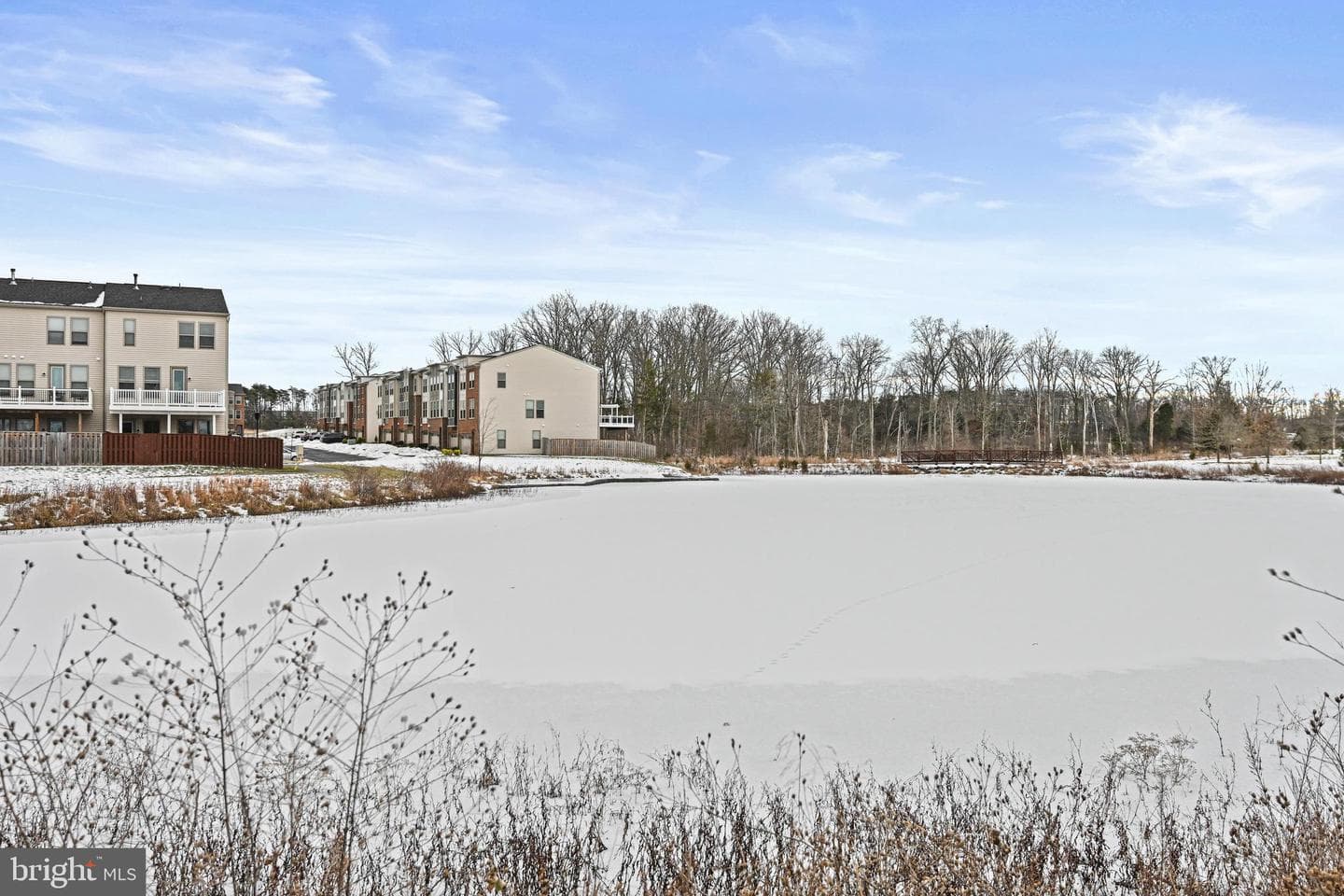 42368 Alder Forest Terrace photo 41