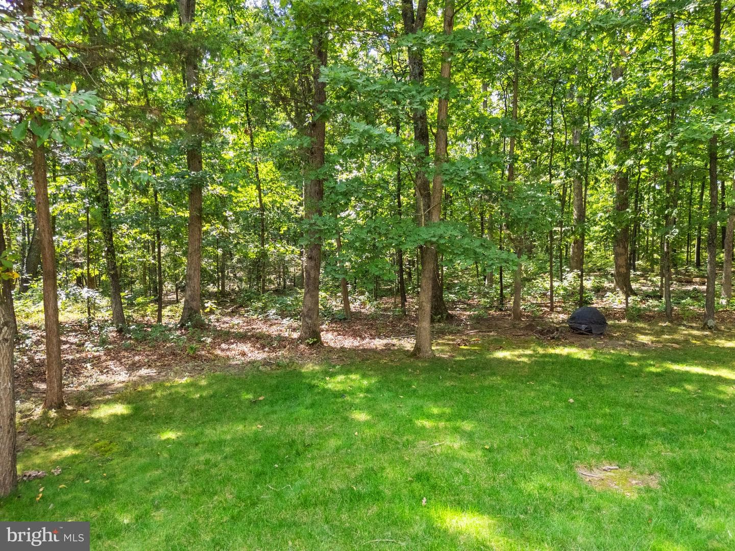 22506 Pine Top Court photo 90