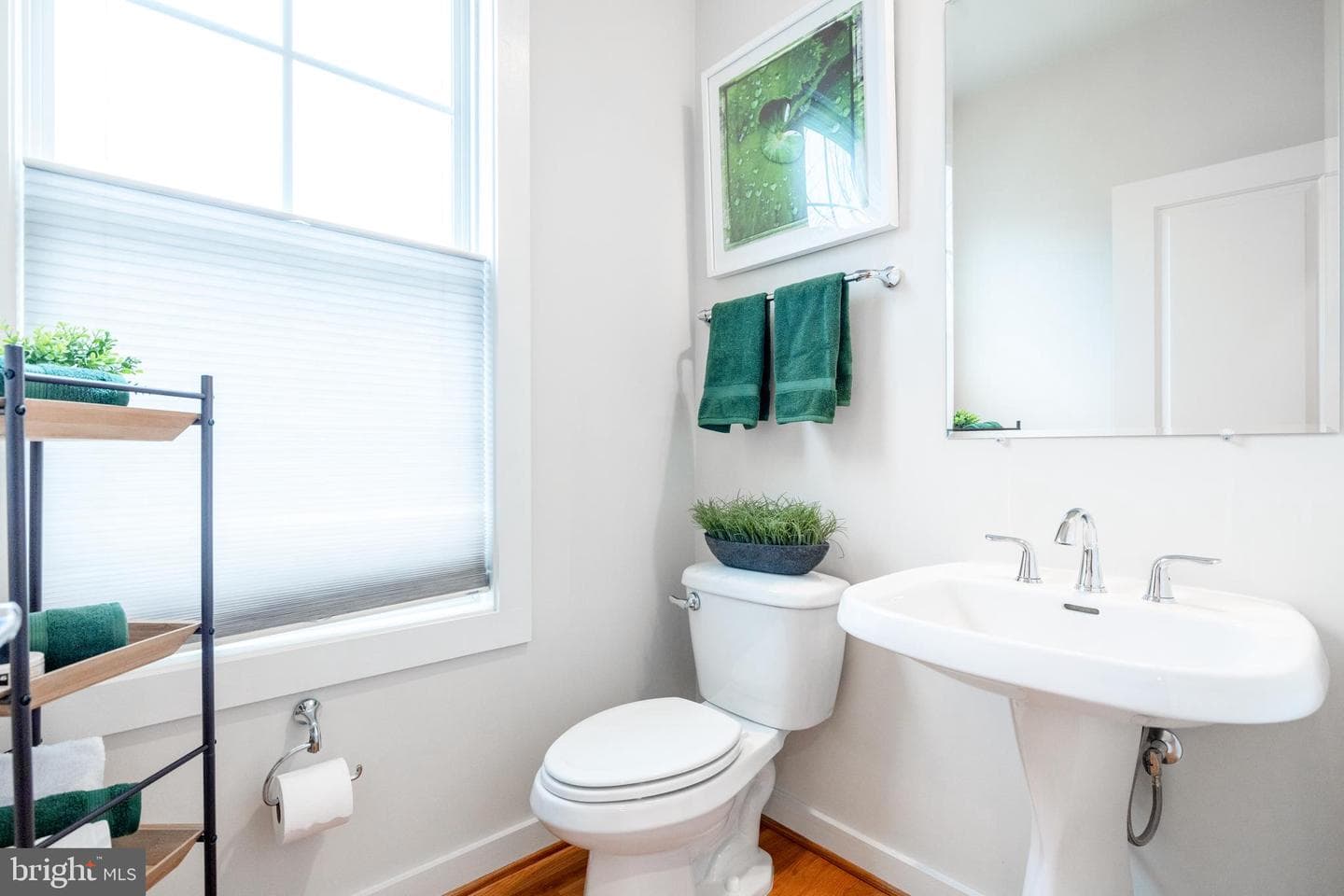 42407 Pale Iris Terrace photo 22
