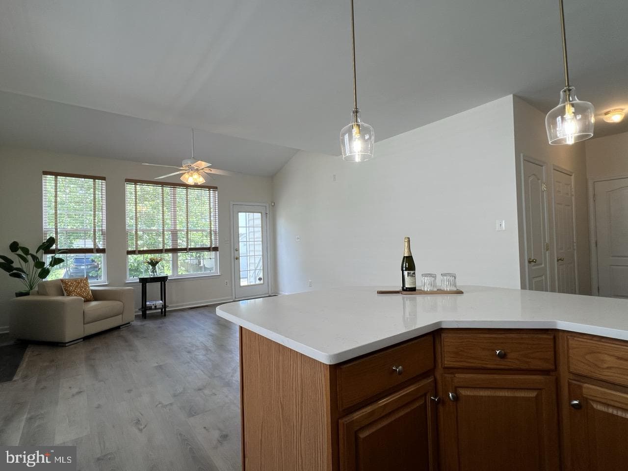 26004 Talamore Drive photo 12