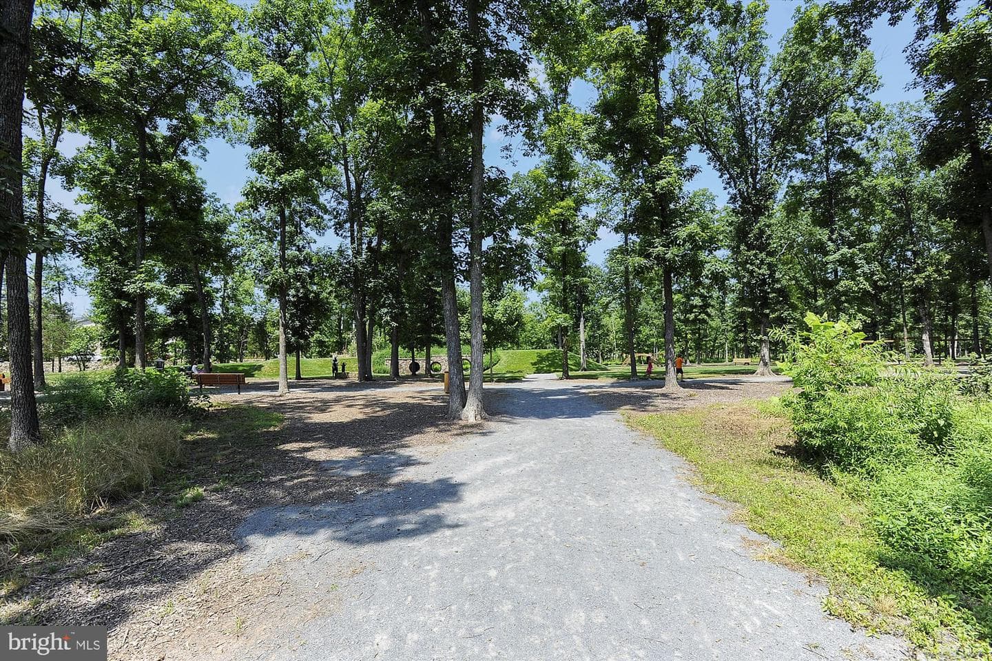 20570 Golden Ridge Drive photo 20