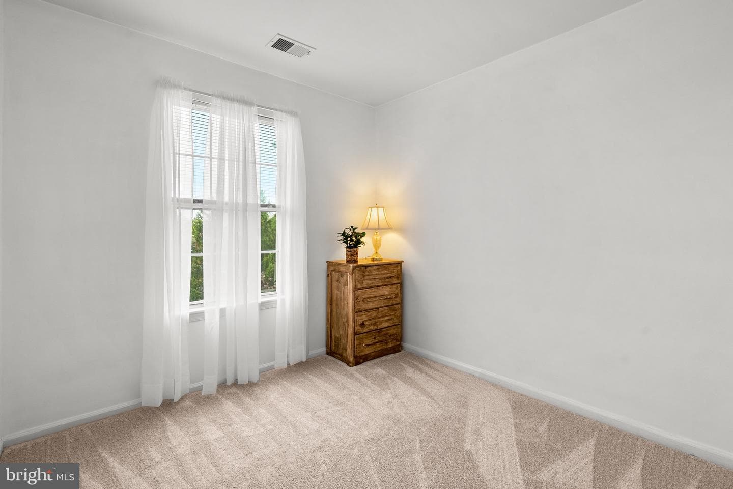 20829 Apollo Terrace photo 21