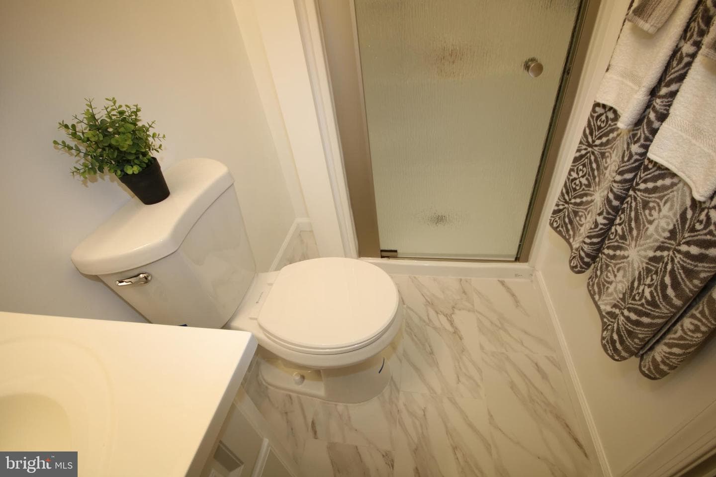 20829 Apollo Terrace photo 29