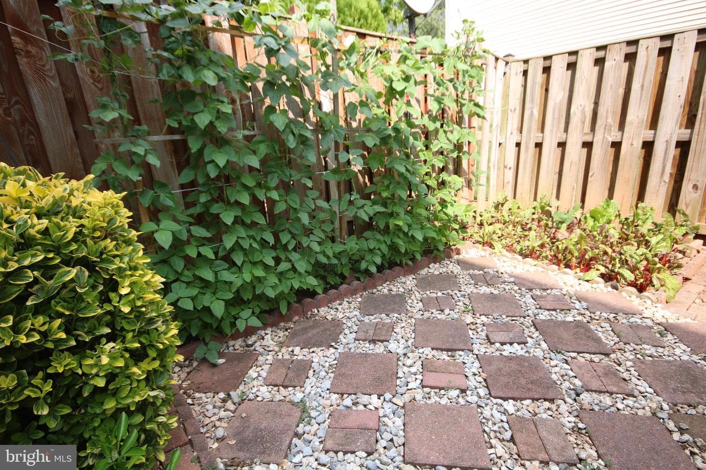 20829 Apollo Terrace photo 41