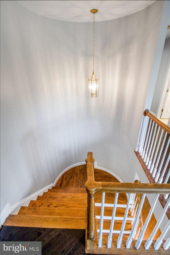 43515 Squirrel Ridge Place photo 53