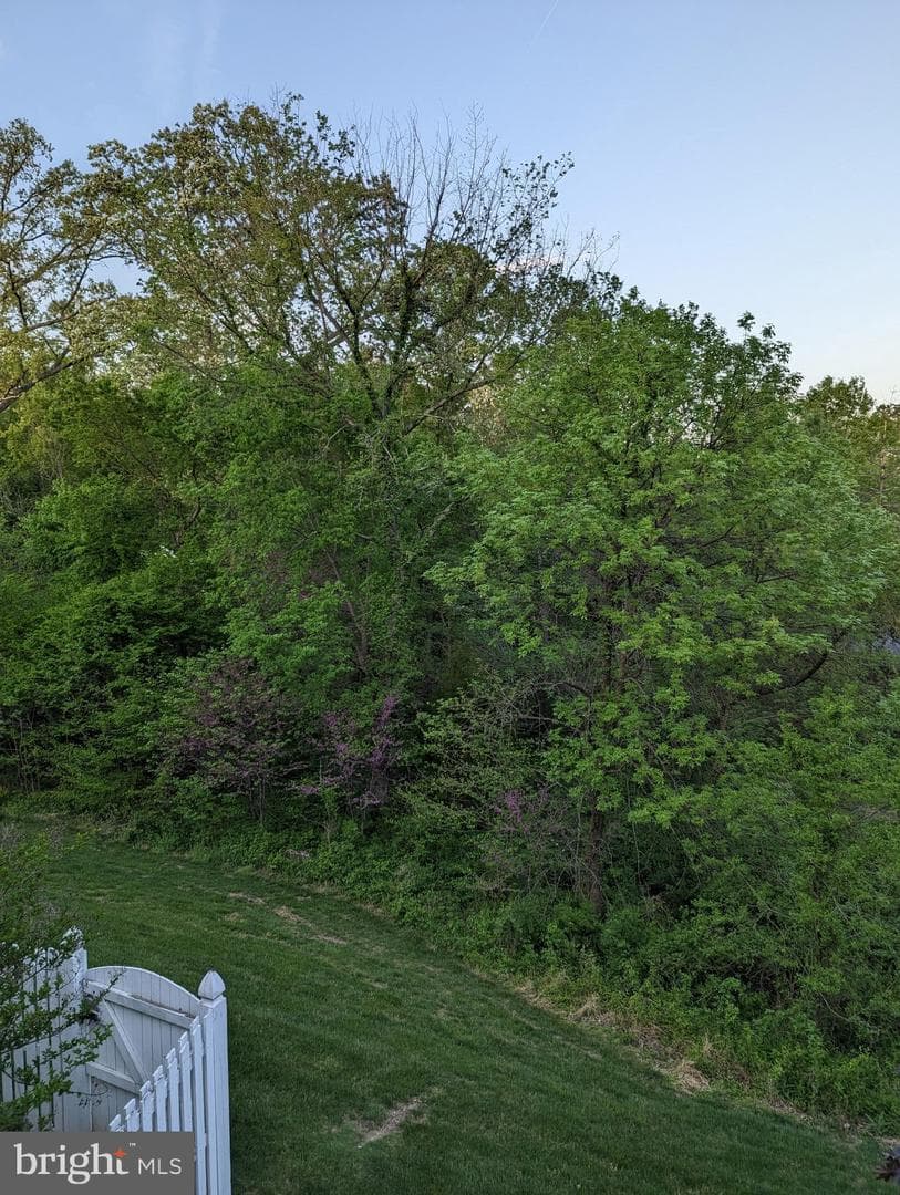 20064 Northville Hills Terrace photo 68