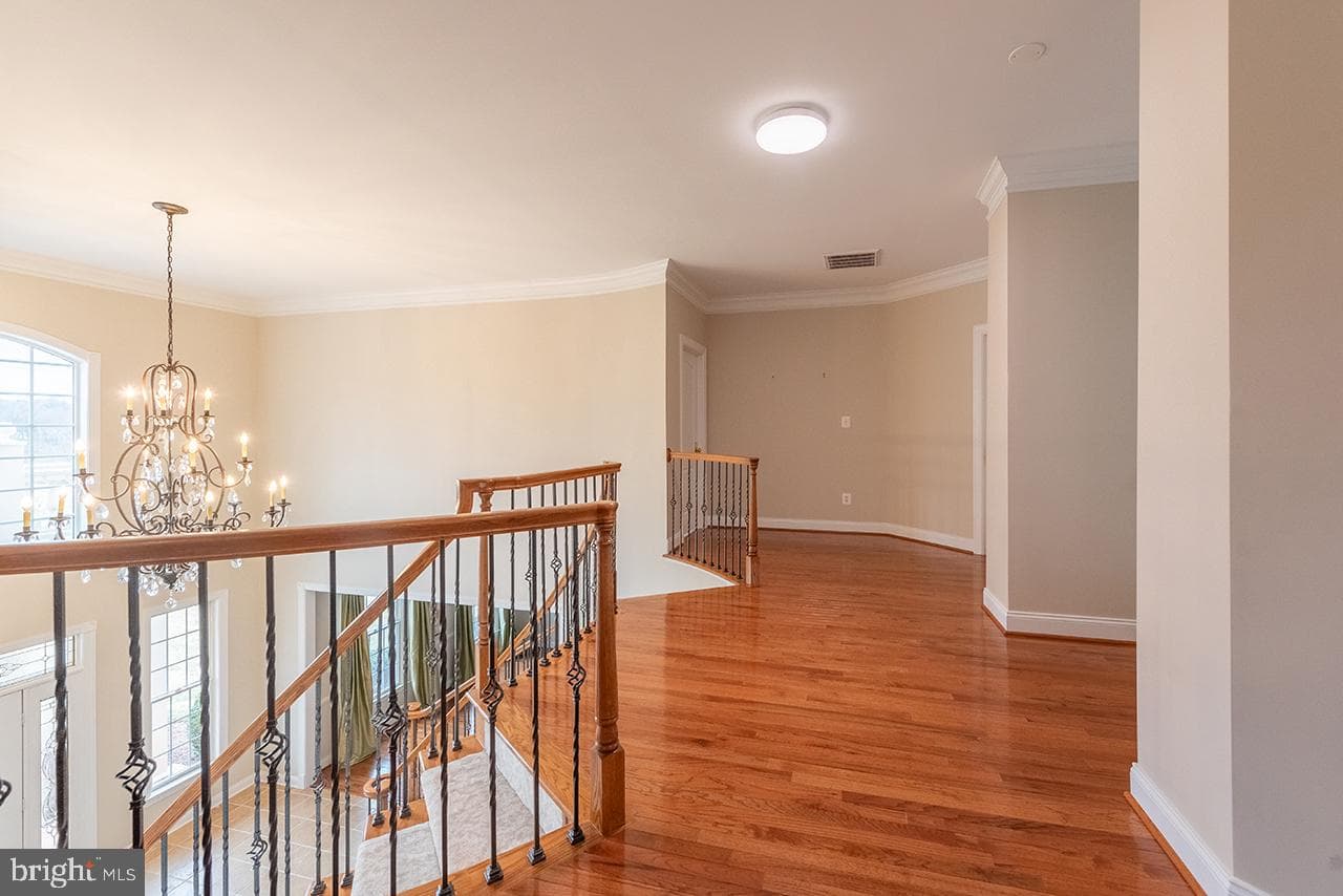 41030 Canongate Drive photo 57
