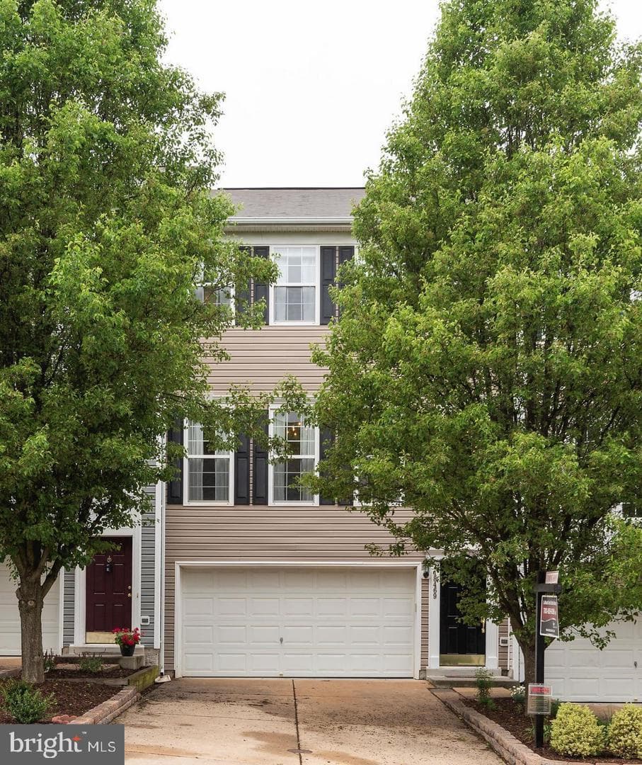 18469 Wide Meadow Square photo 2